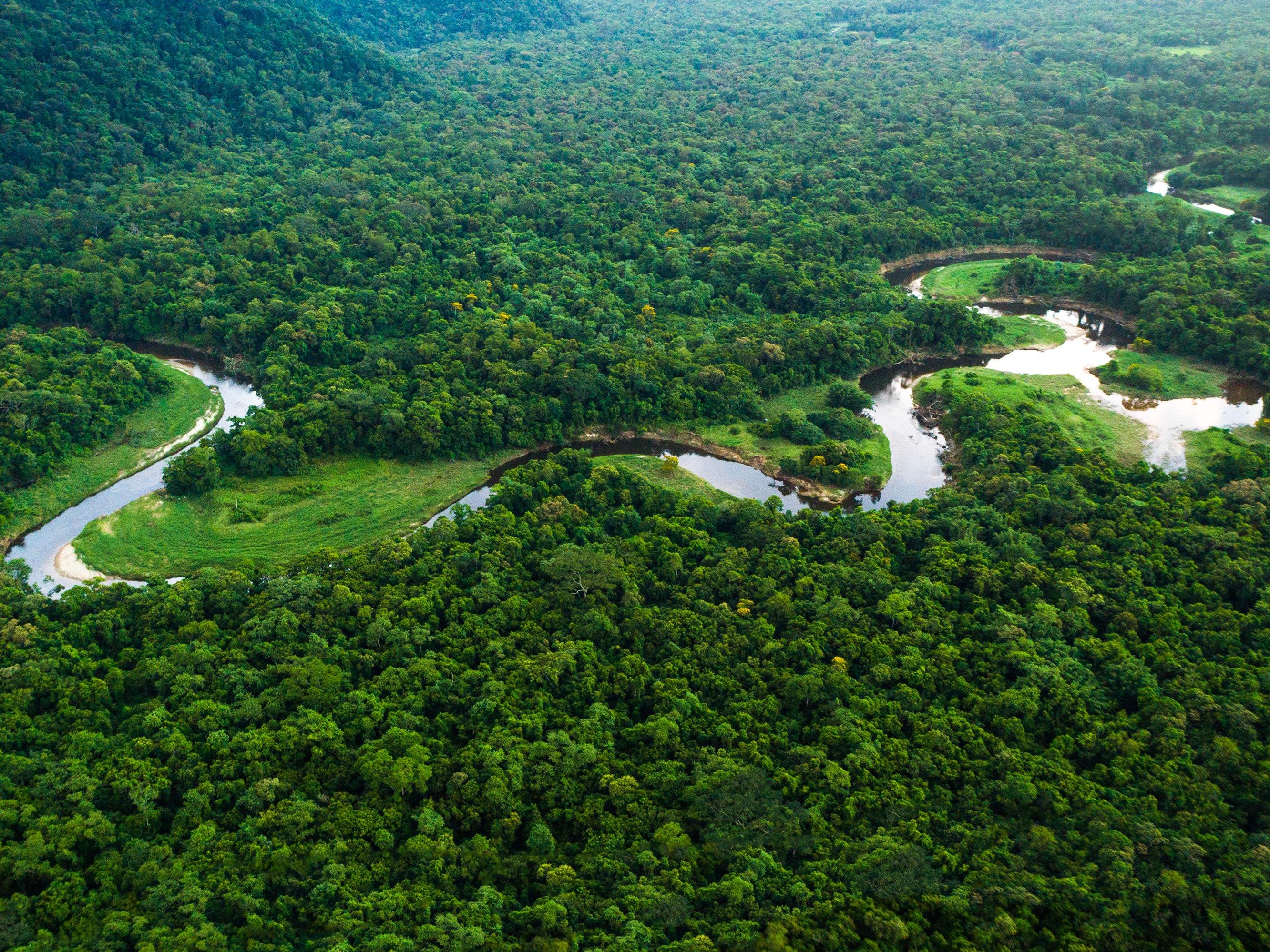 2664x1998 Visiting Brazil's Amazon rainforest