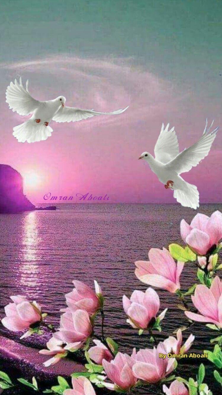 750x1334 Nature Wallpaper Beautiful Birds