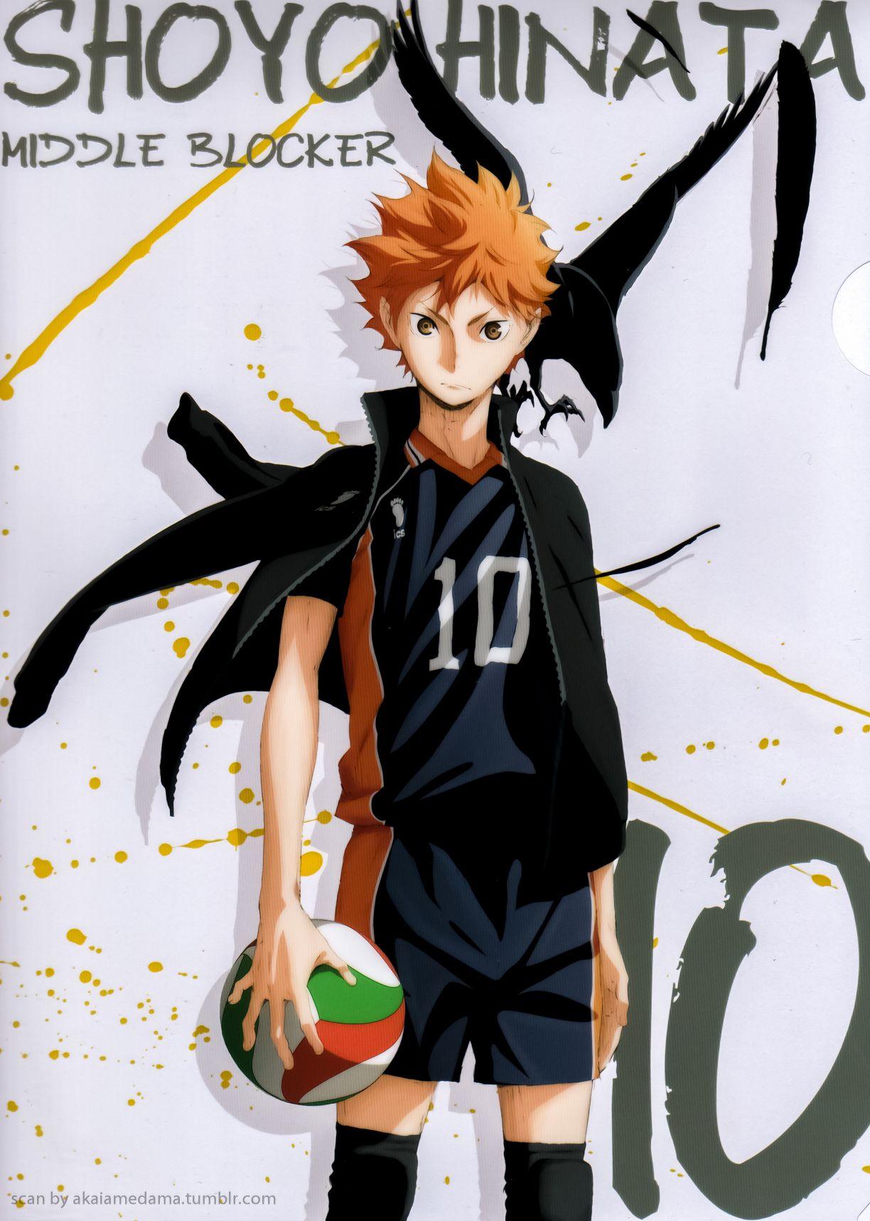 1224x1718 Shouyou Hinata Wallpaper 2020