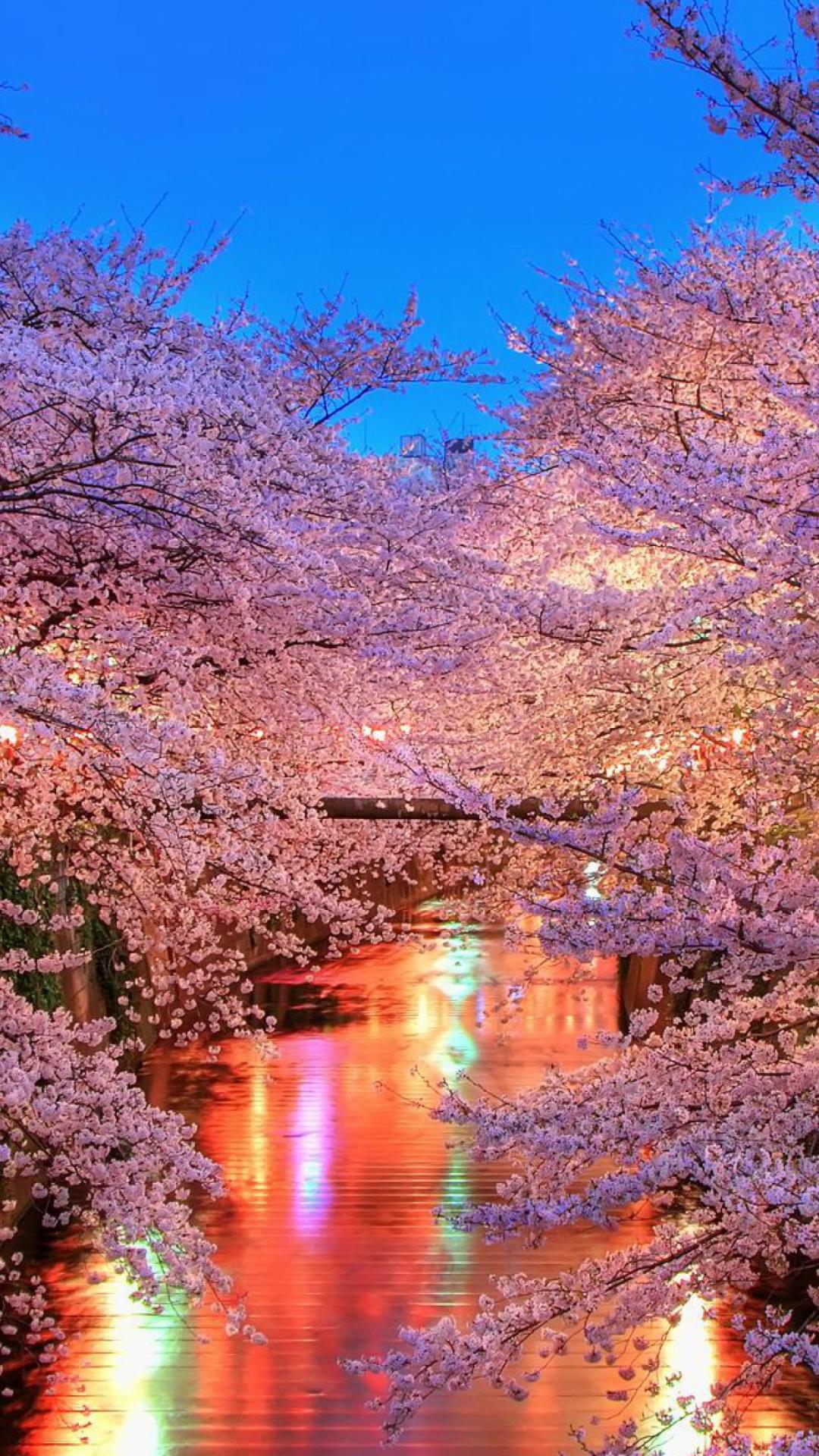 1080x1920 Free download Download Wallpaper 3840x2160 O hanami Blossom Sakura Japan 4K Ultra [3840x2160] for your Desktop, Mobile & Tablet. Explore Japan 4K Wallpaper. Japanese Desktop Wallpaper, 4K Nature Wallpaper