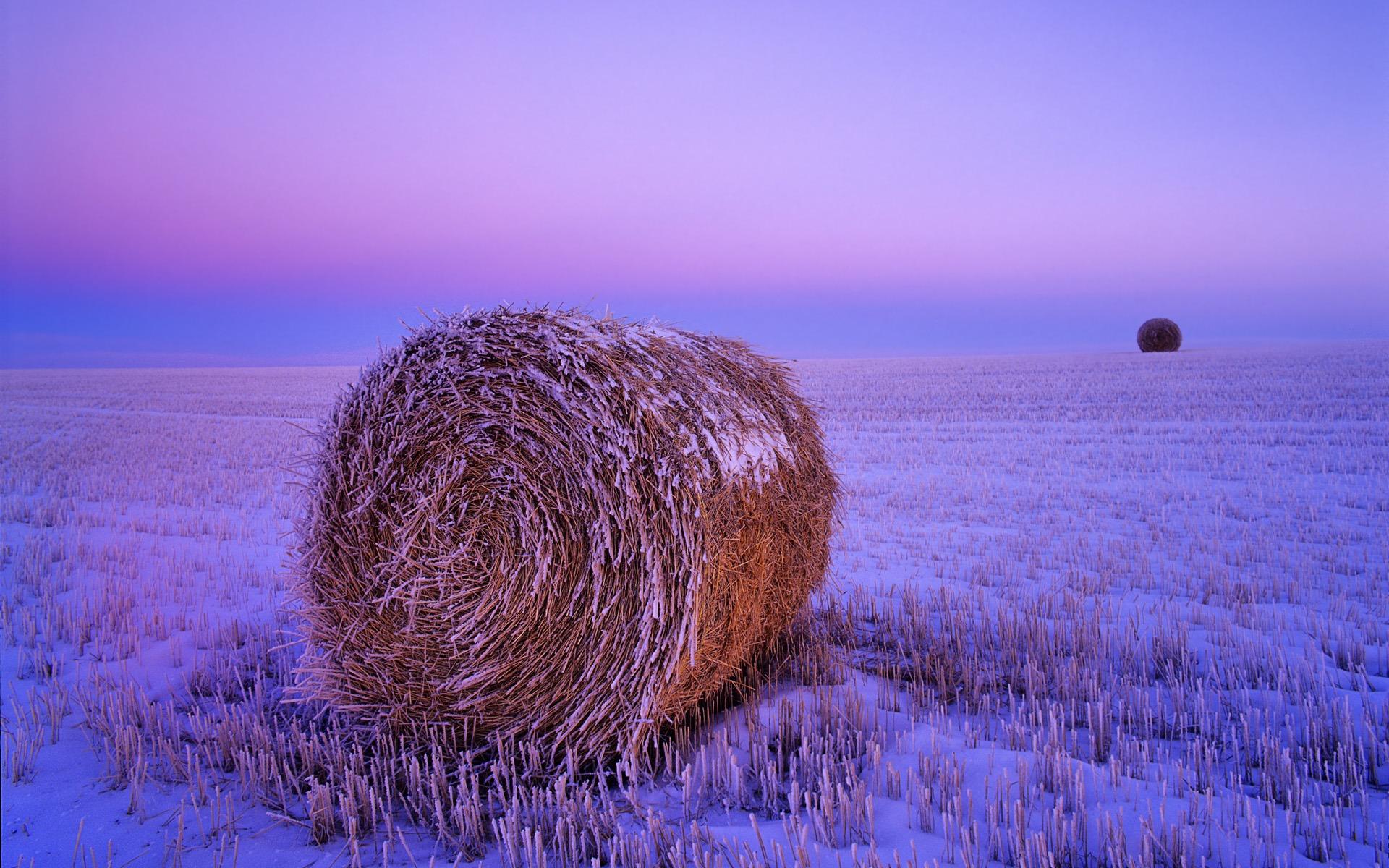 1920x1200 North Dakota snow desktop wallpaper on a haystack