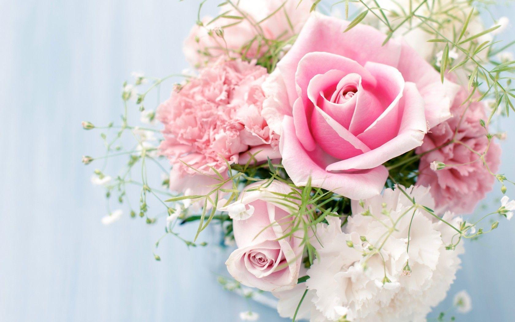 1680x1050 Flowers: Roses Flowers White Wall Love Bouquet Beauty Softness Pink