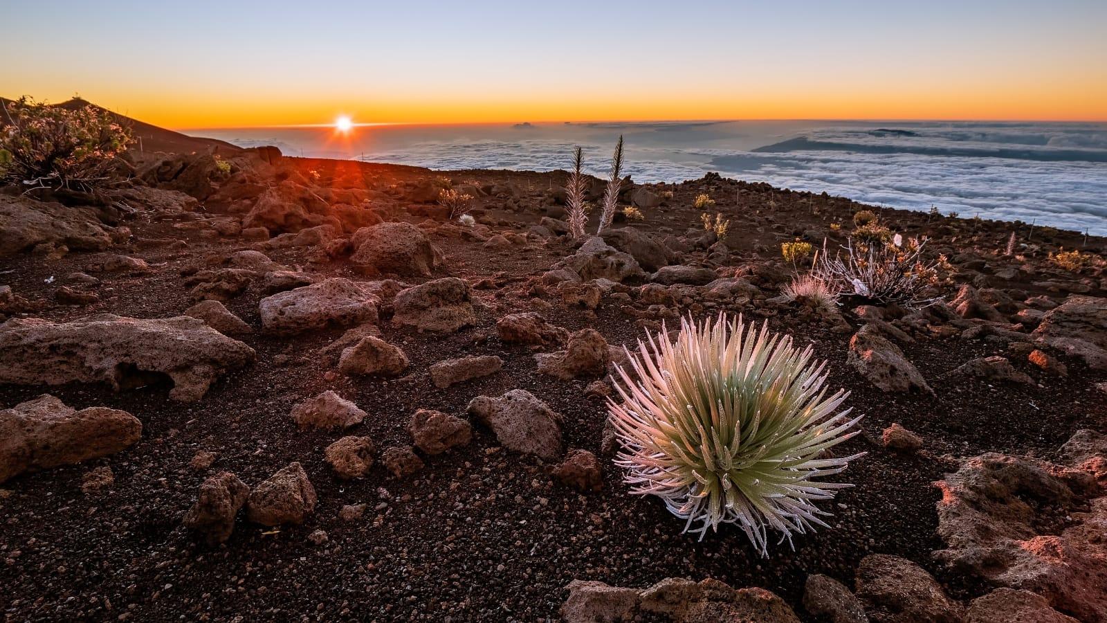 1600x900 Haleakala National Park Driving Tour App