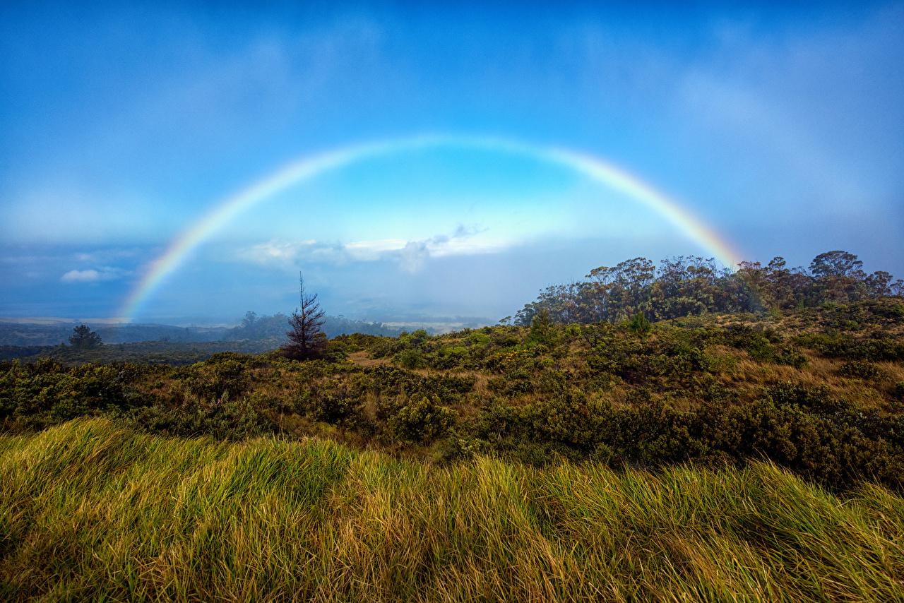 1280x854 Photo Hawaii Haleakala National Park Rainbow Maui Nature park Grass