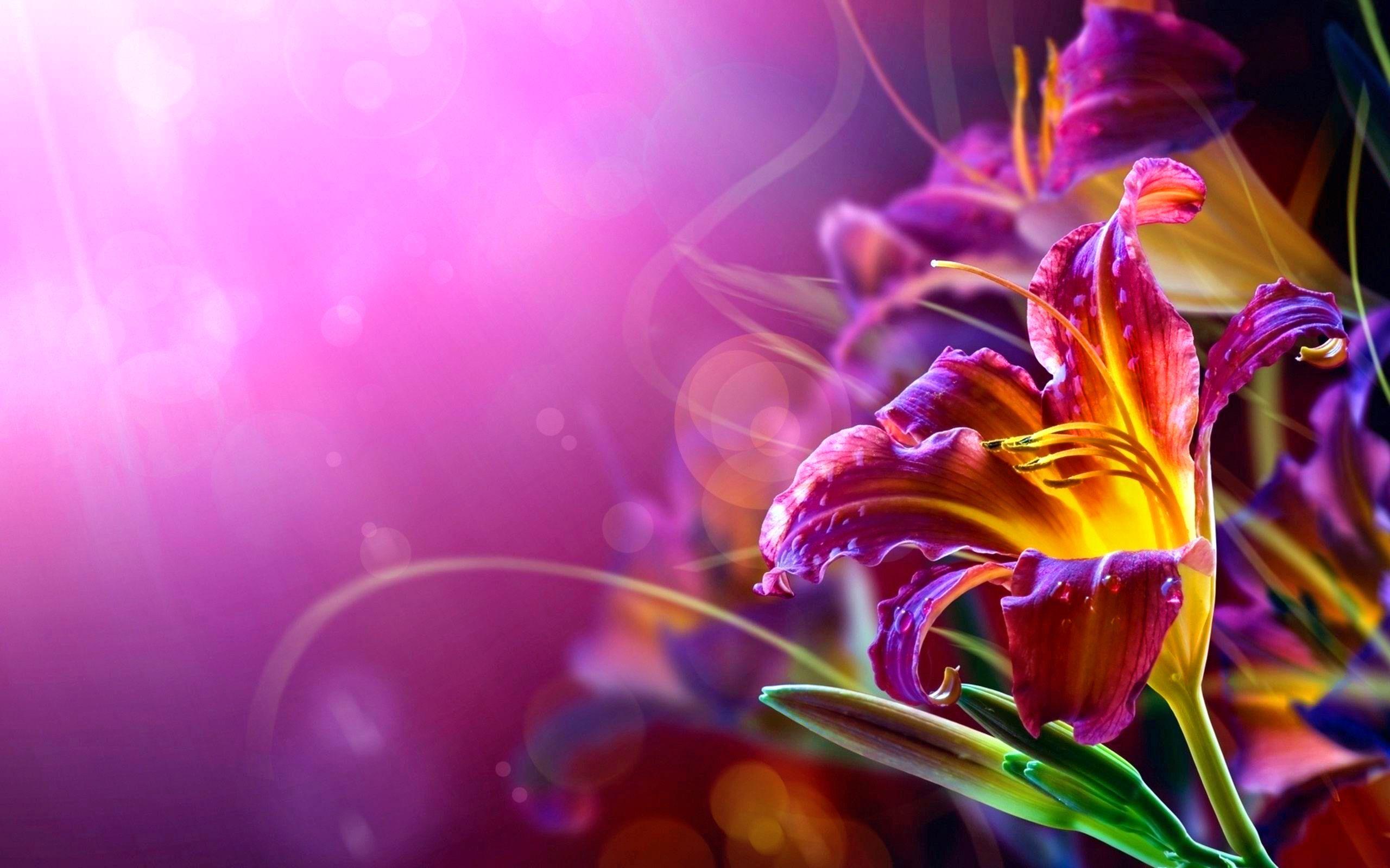 2560x1600 FLOWER [63] colorful pastel [14december2016wednesday] [105042