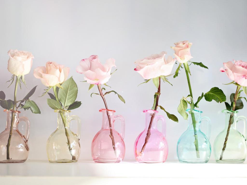 1024x768 Flowers image Roses HD wallpaper and background photo