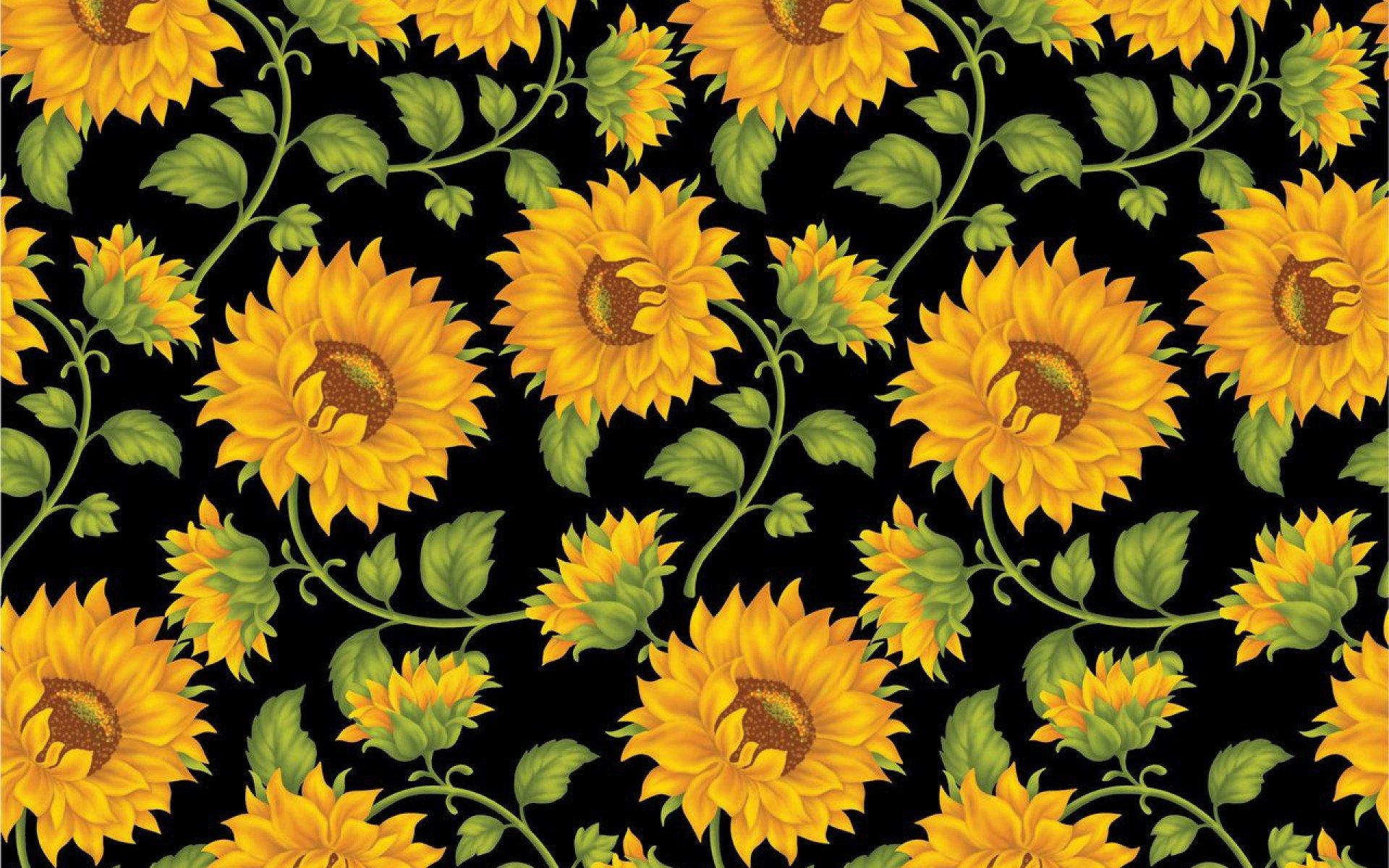 1920x1200 Aesthetic flower wallpaper laptop • Wallpaper For You HD Wallpaper For Desktop & Mobile