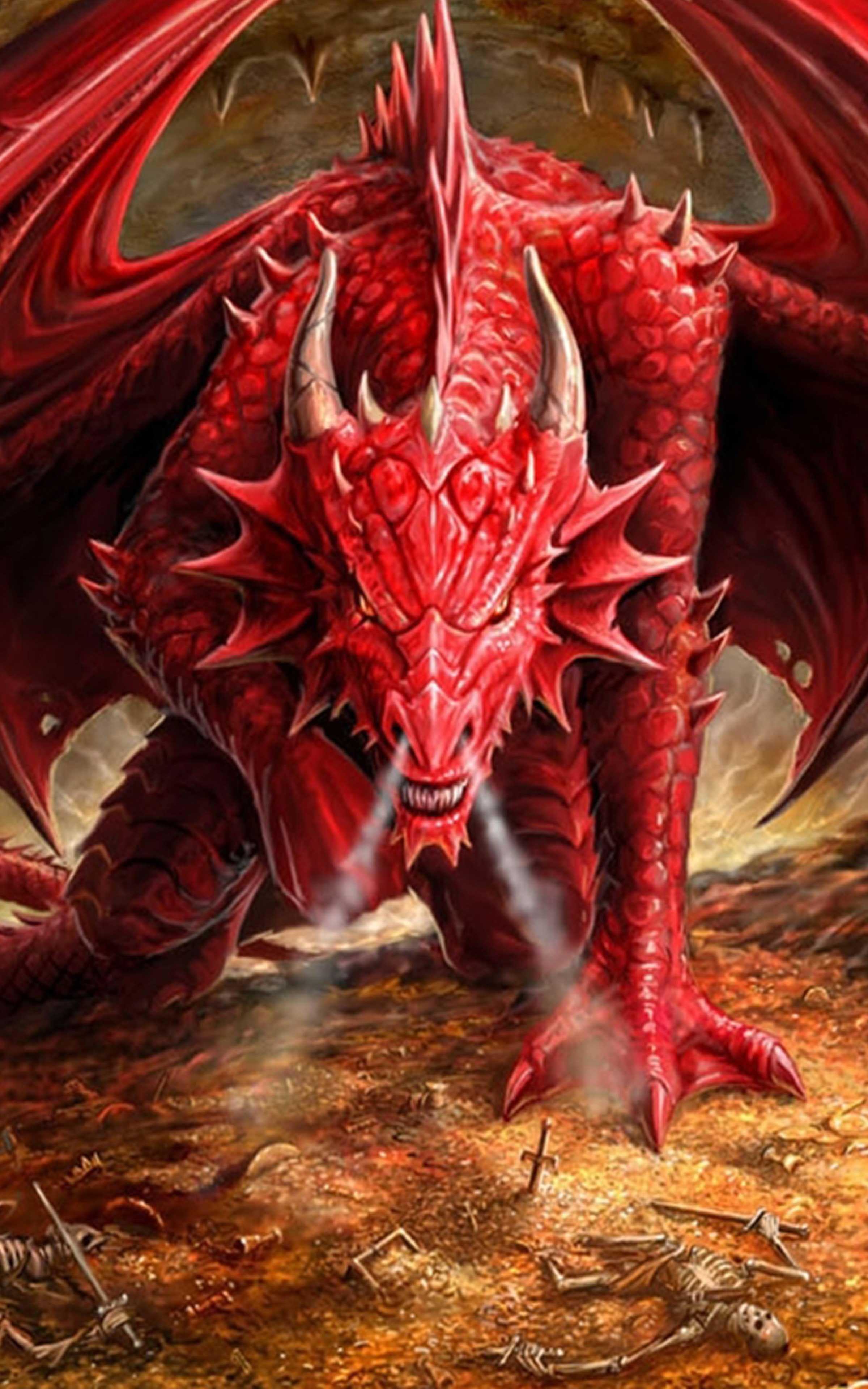 2400x3840 HD Dragon Wallpaper