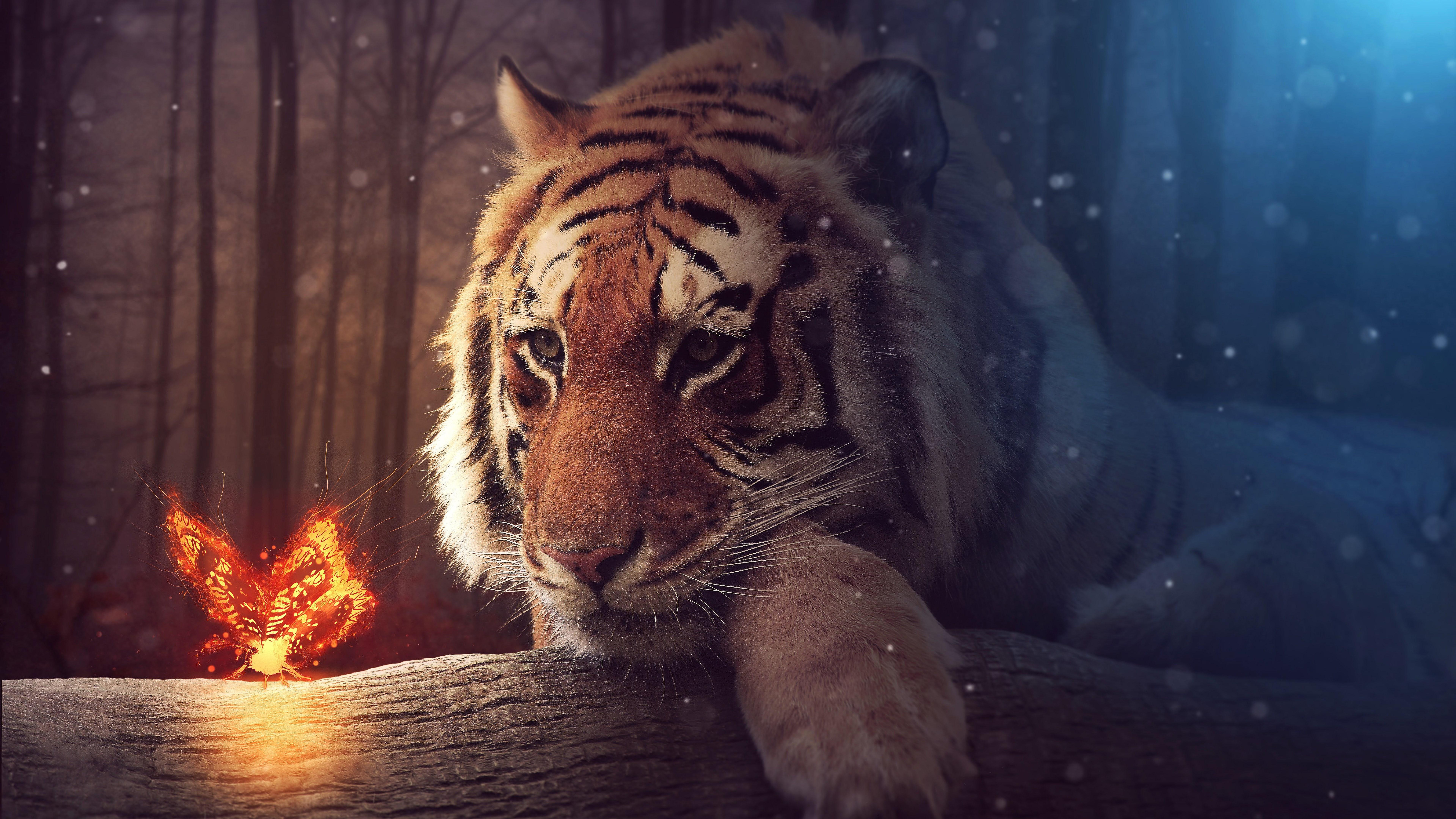 7680x4320 Tiger Butterfly 8K Wallpaper