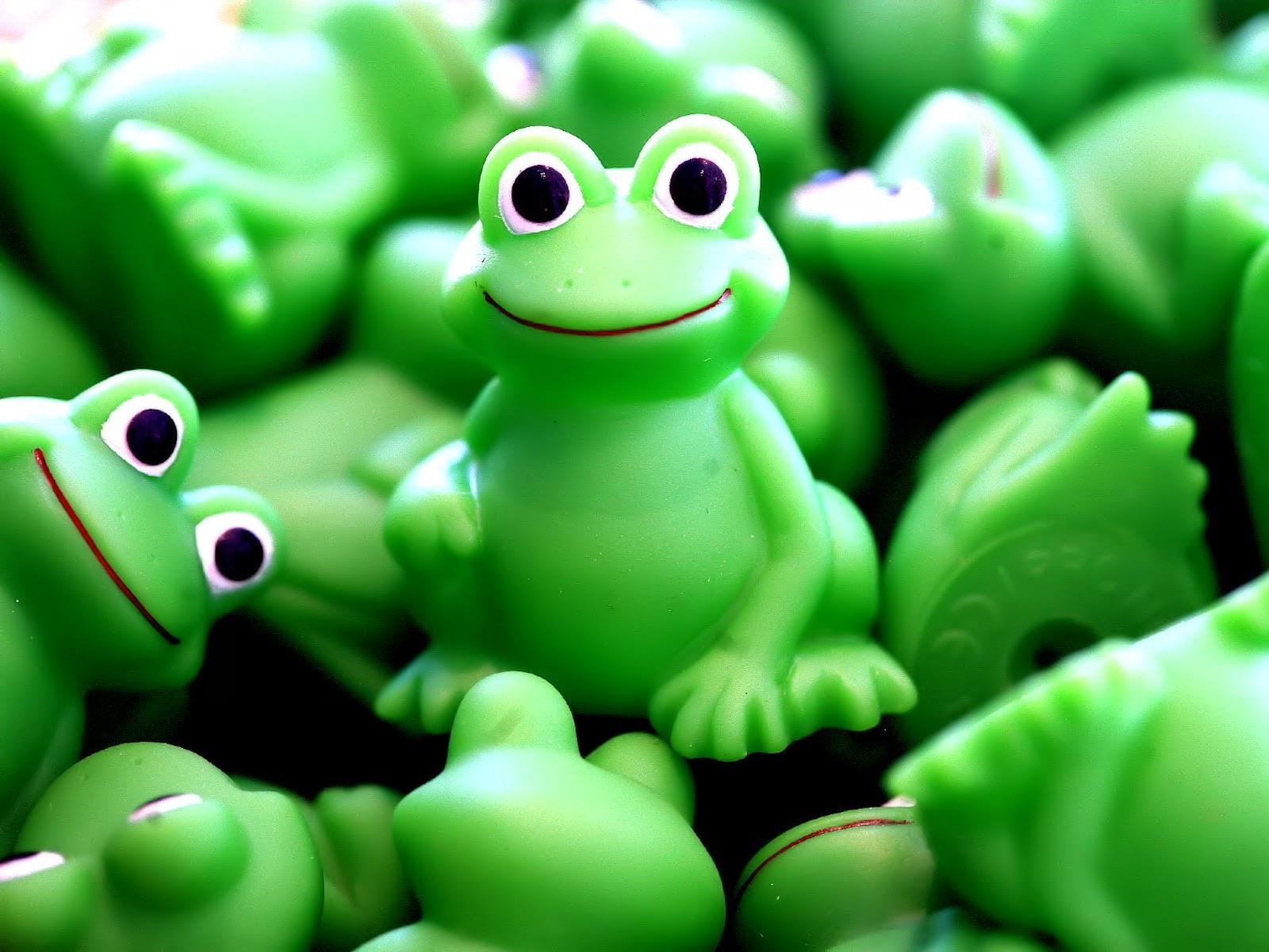 1600x1200 Frog Desktop Wallpaper