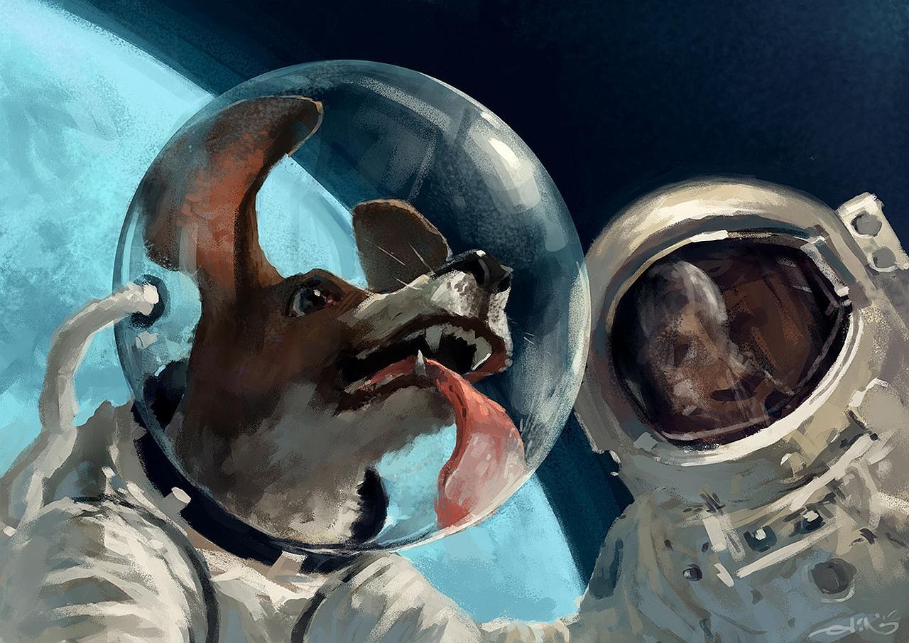 1280x905 Dogs In Space Wallpaper