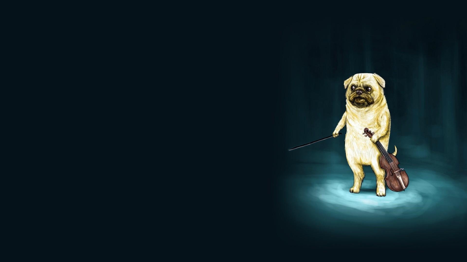 1920x1080 pug wallpaper, dog, canidae, dog breed, pug, carnivore