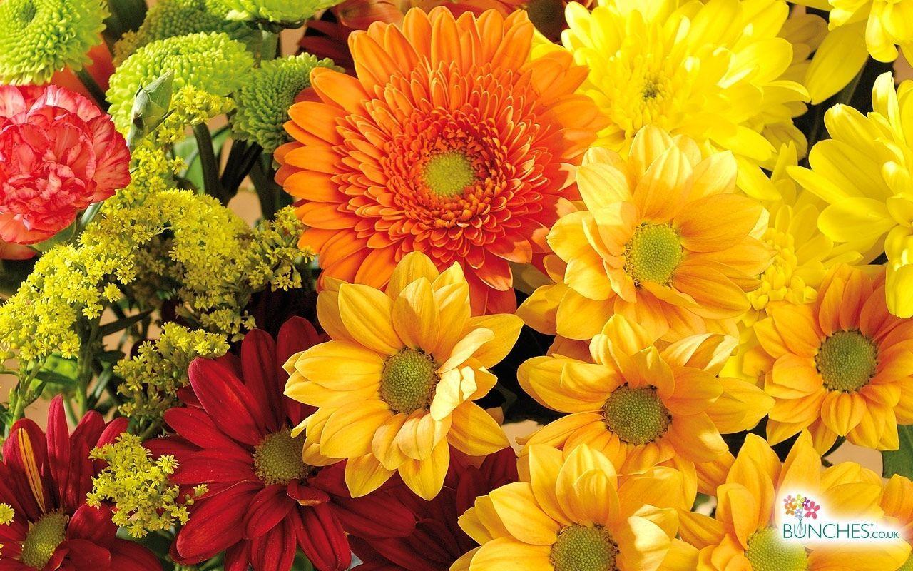 1280x800 Fall Flowers Desktop Wallpaper, HD Fall Flowers Desktop Background