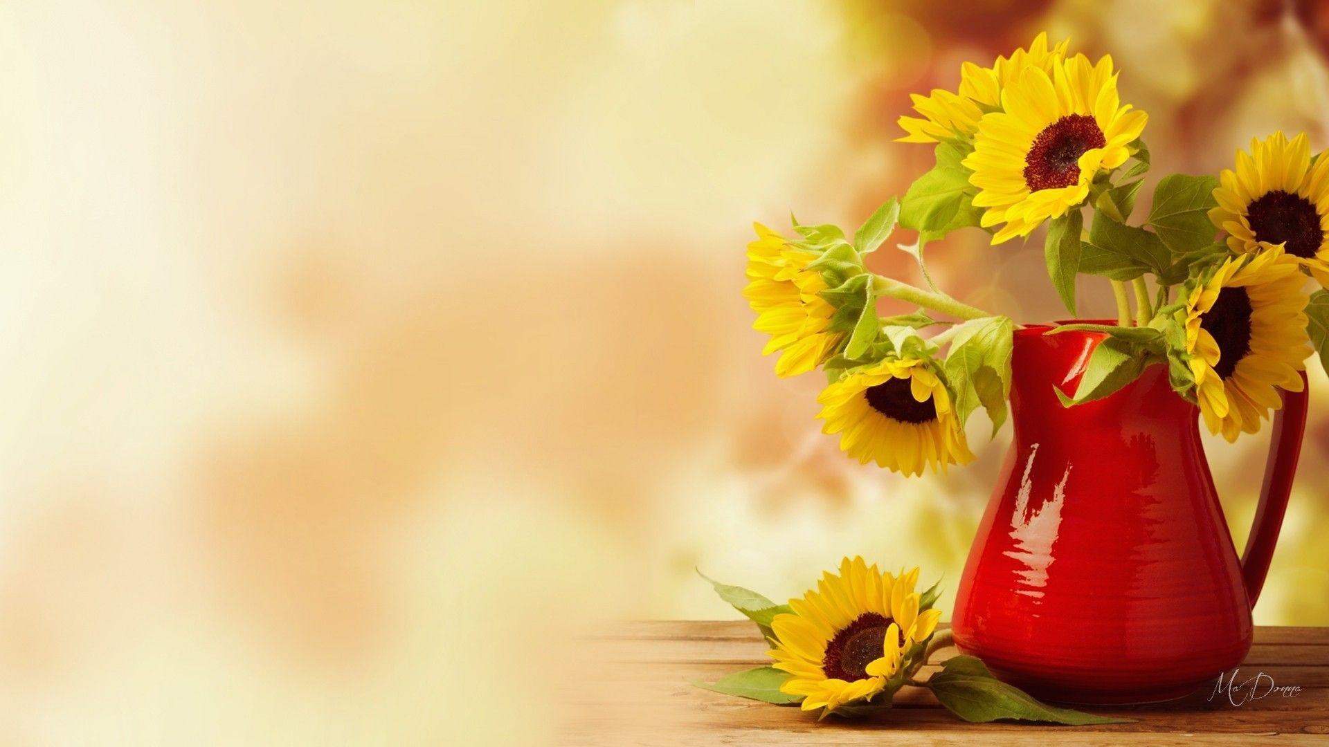 1920x1080 Fall Flowers Desktop Wallpaper, HD Fall Flowers Desktop Background