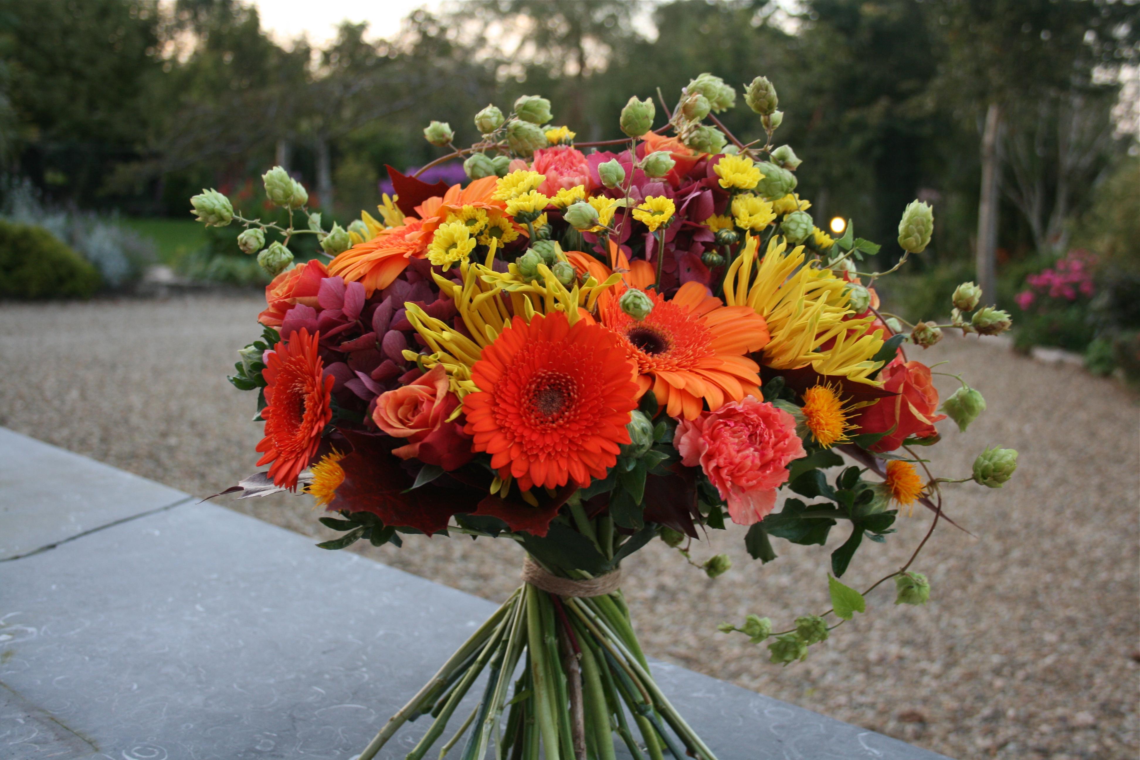 3888x2592 autumn flowers