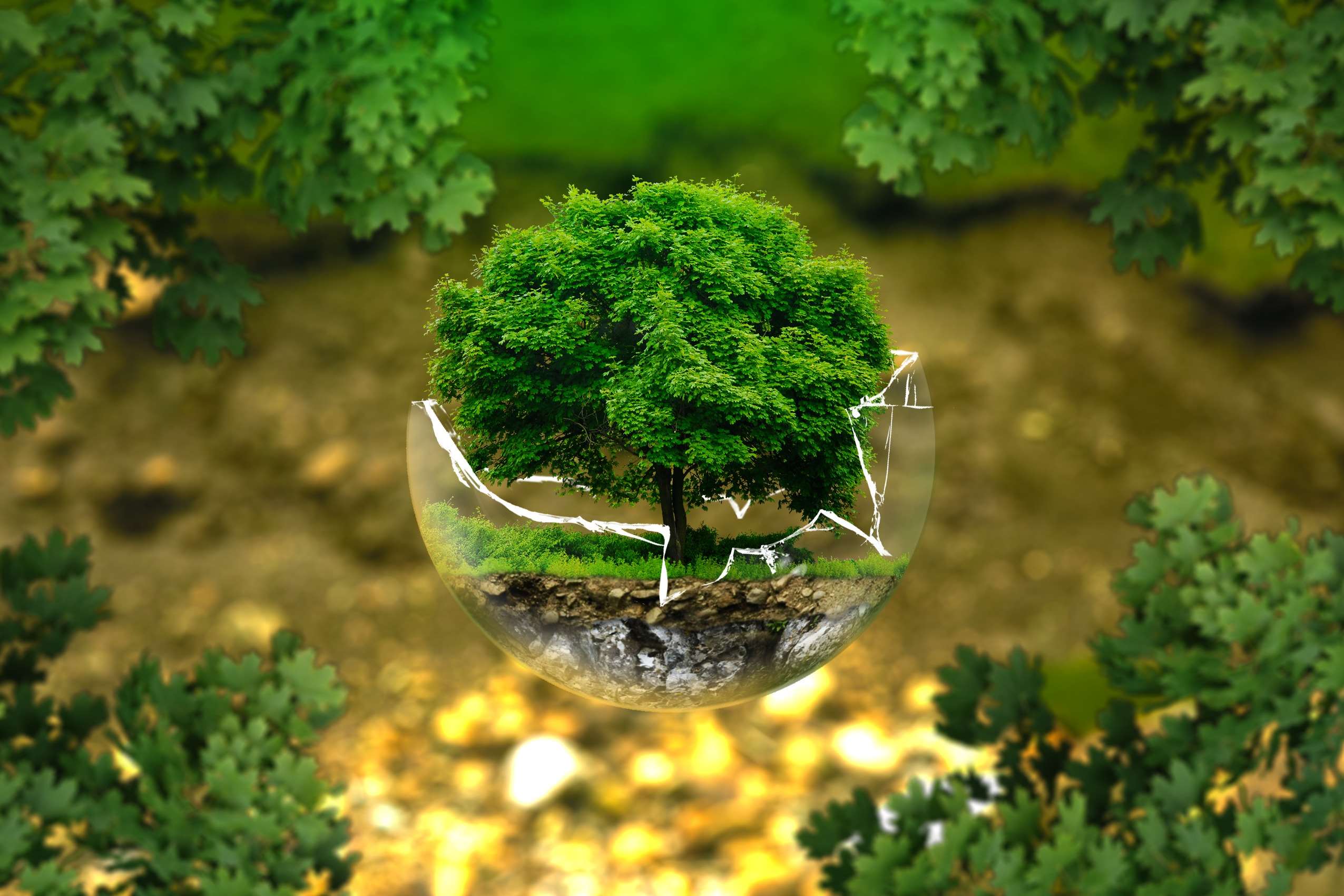 2551x1701 bio HD wallpaper, Background