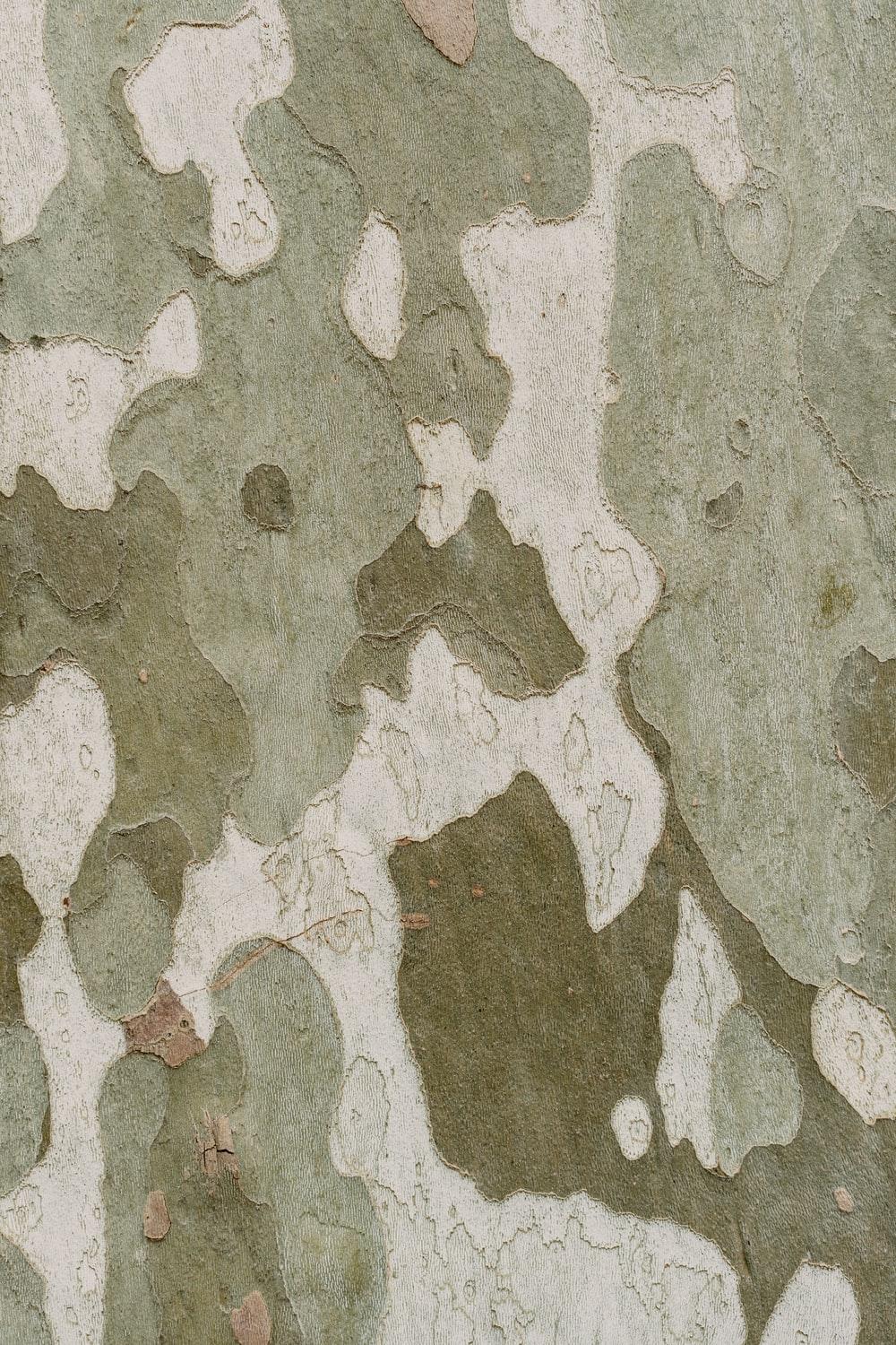 1000x1500 Camouflage Pattern Picture. Download Free Image
