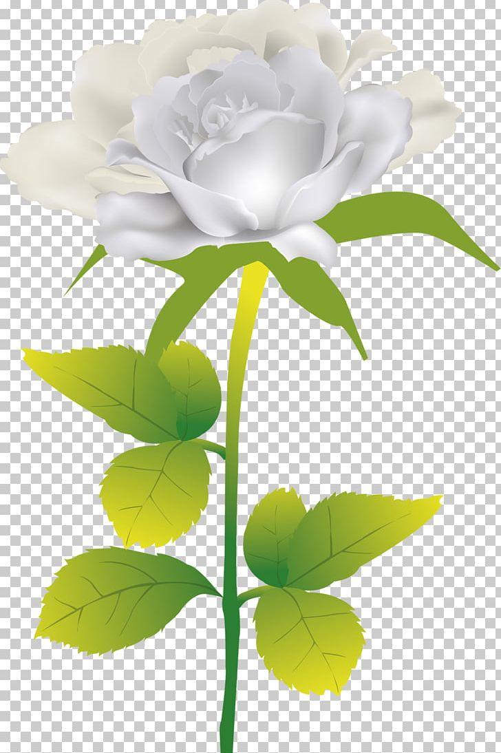 728x1094 Beach Rose Flower PNG, Clipart, Beach Rose, Computer Wallpaper, Cut Flowers, Floral Design, Floristry Free PNG