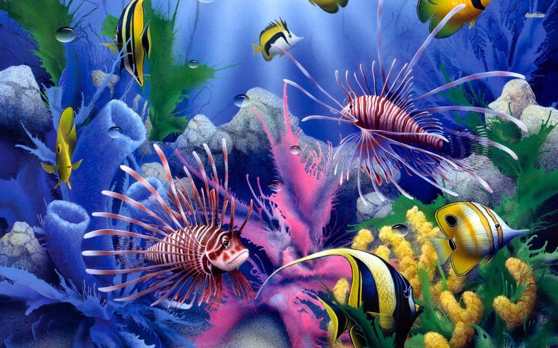 1920x1200 Fishes Wallpaper Ocean