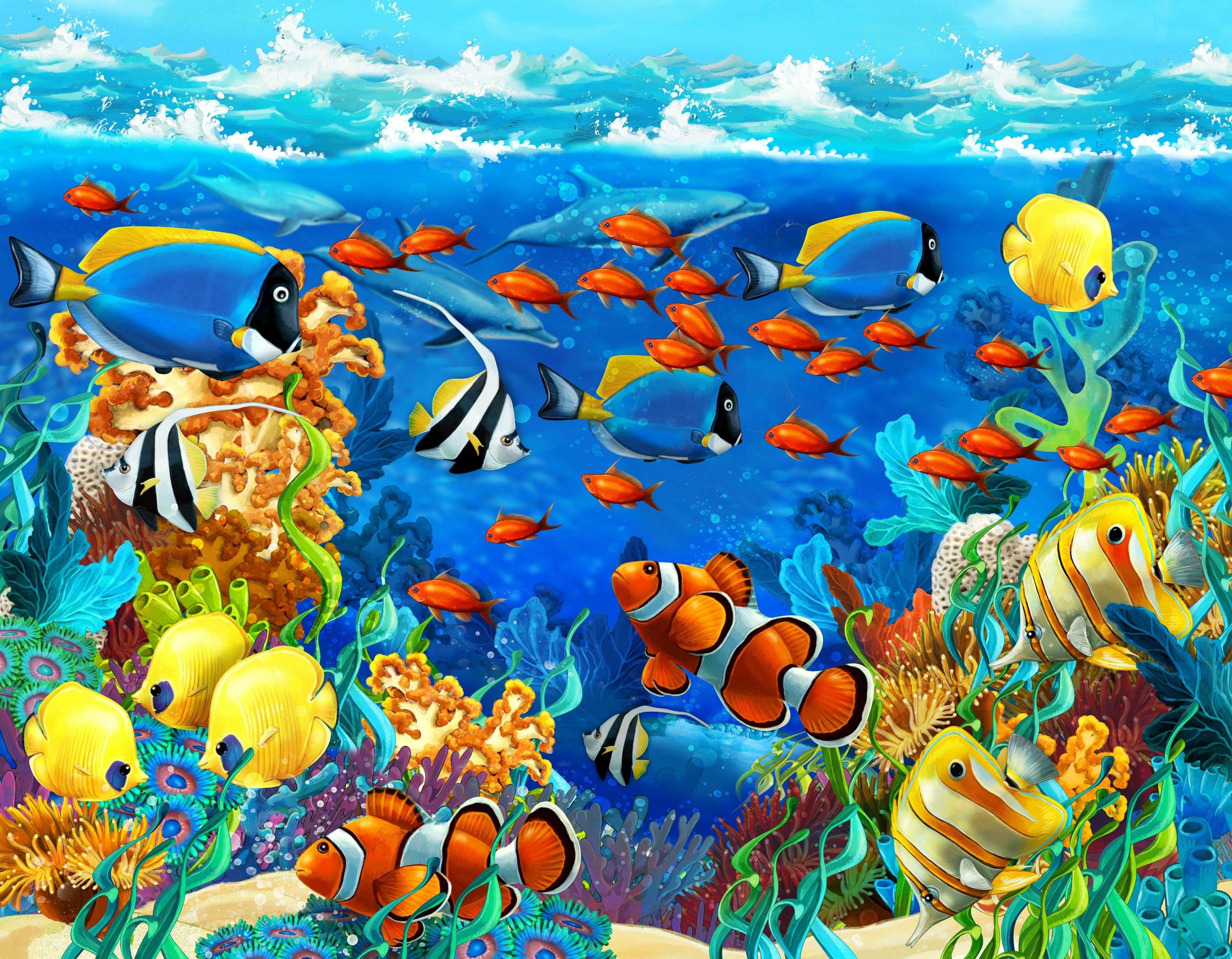 4000x3113 4000x3113 corals, dolphin, fish, ocean, sea, seabed, tropical, underwater