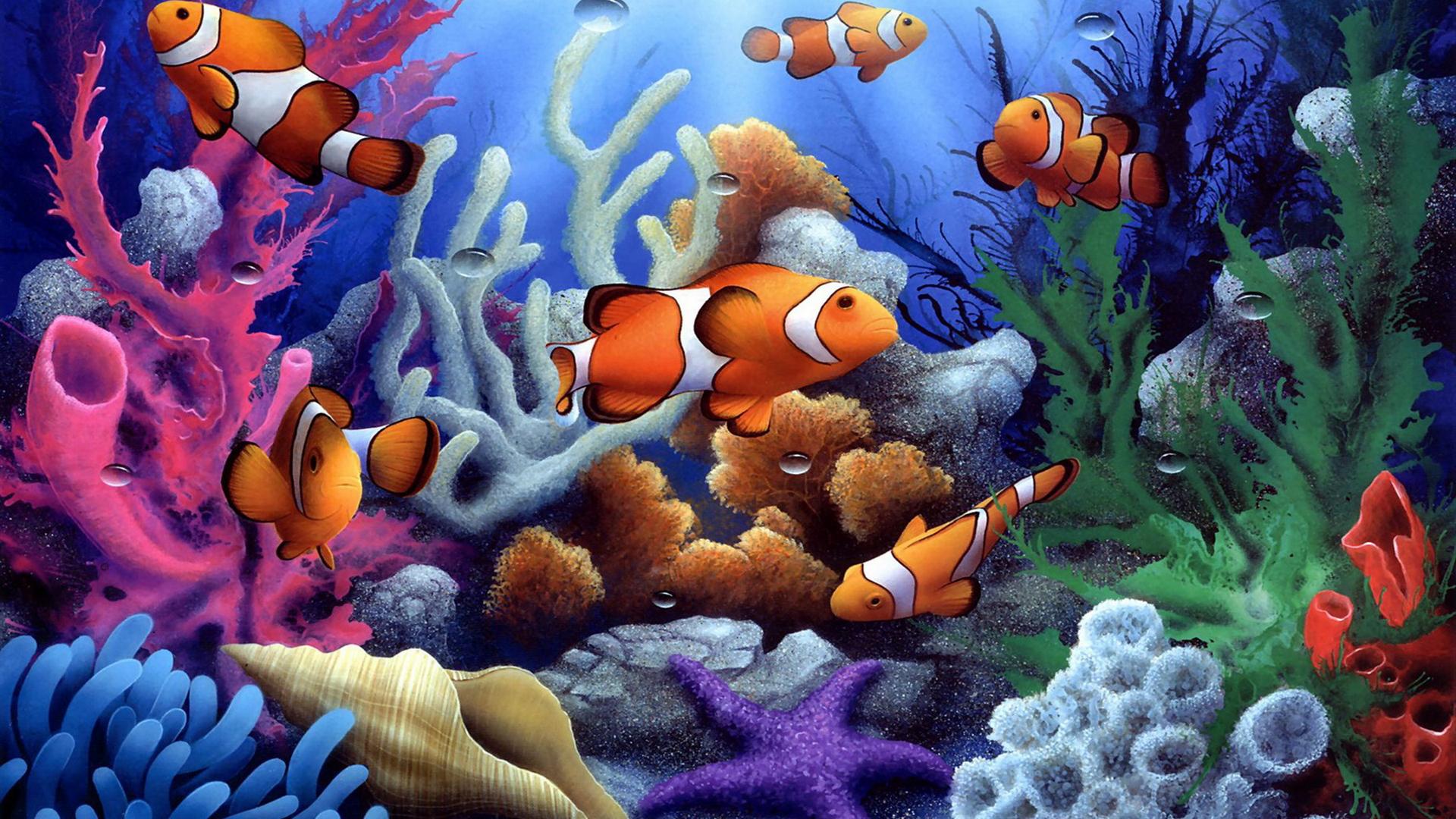 1920x1080 Underwater coral fish