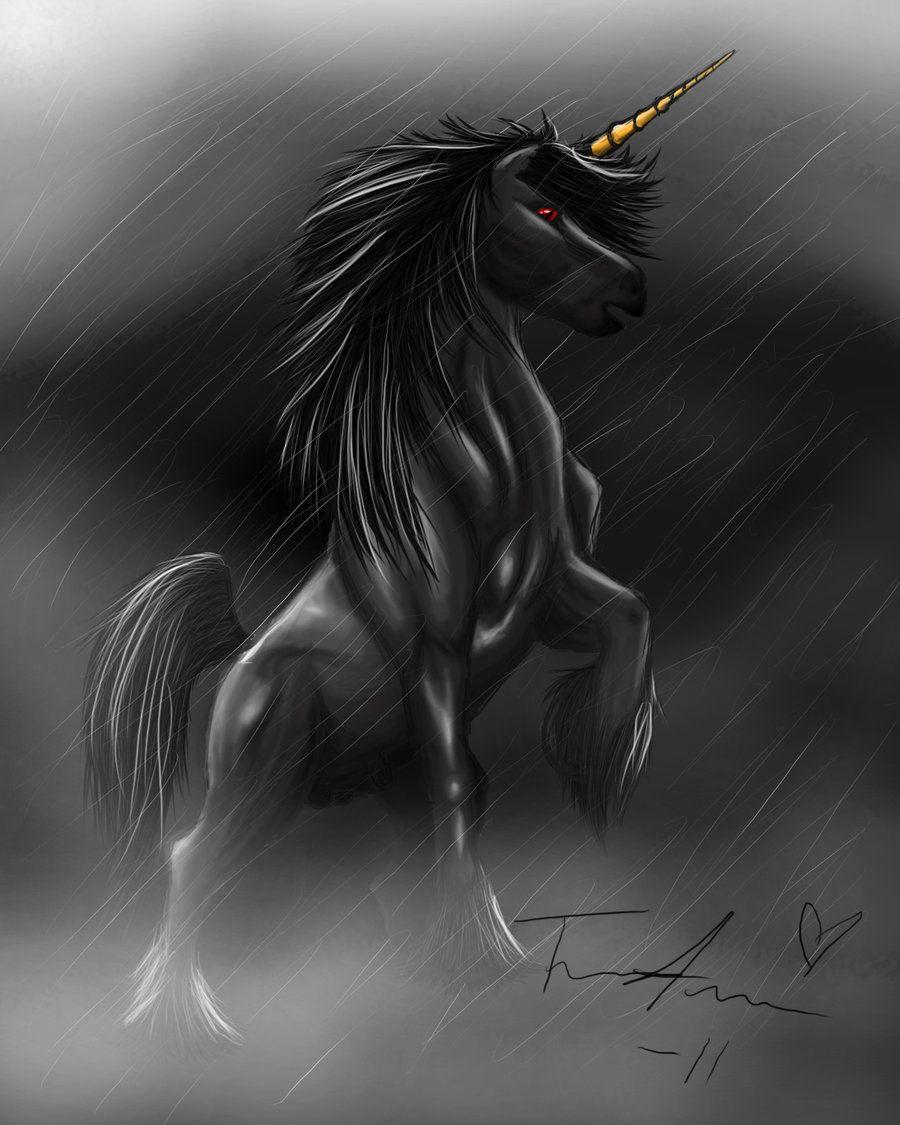 900x1125 Black Unicorn Wallpaper. (37++ Wallpaper)