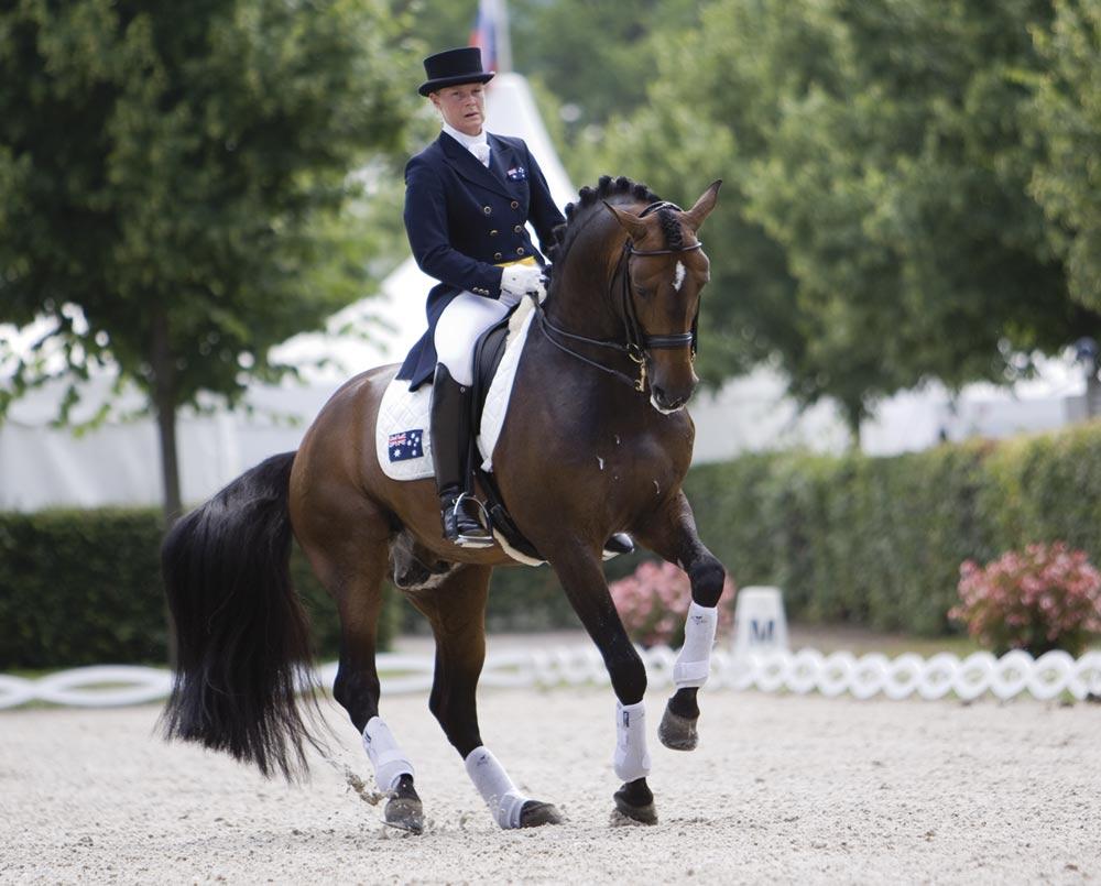 1000x805 Free download Lusitano Dressage wallpaper ForWallpapercom [1000x805] for your Desktop, Mobile & Tablet. Explore Dressage Wallpaper. Dressage Wallpaper