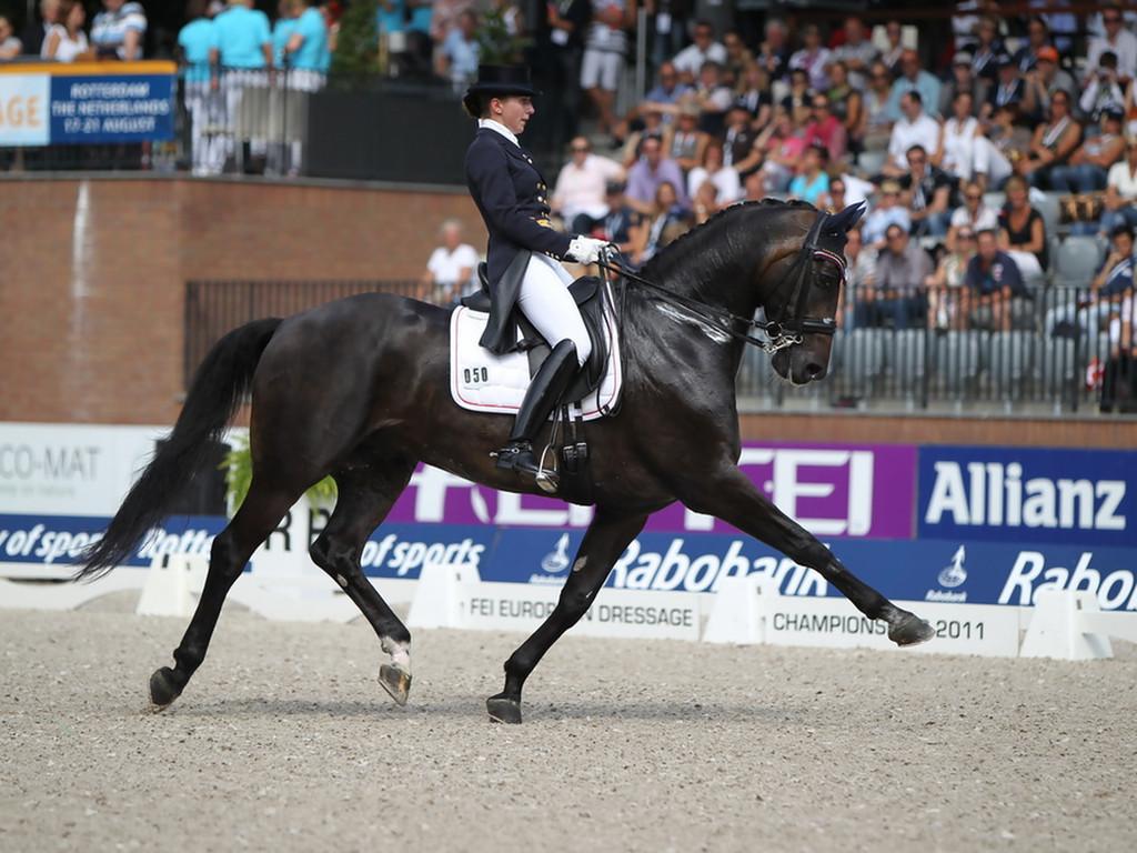 1024x768 Free download Dressage Wallpaper Picture [1024x768] for your Desktop, Mobile & Tablet. Explore Dressage Wallpaper. Dressage Wallpaper