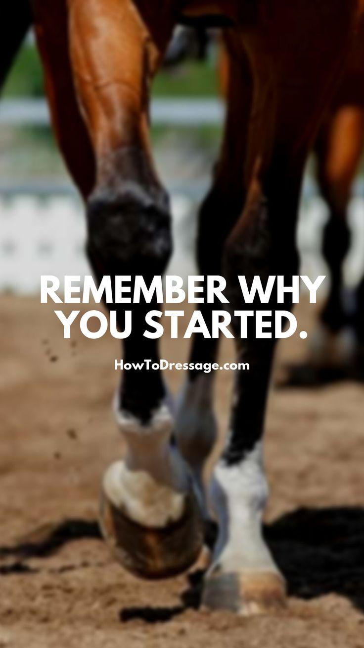 736x1308 REMEMBER WHY YOU STARTED WALLPAPER. Horse wallpaper, Dressage, Equestrian quotes