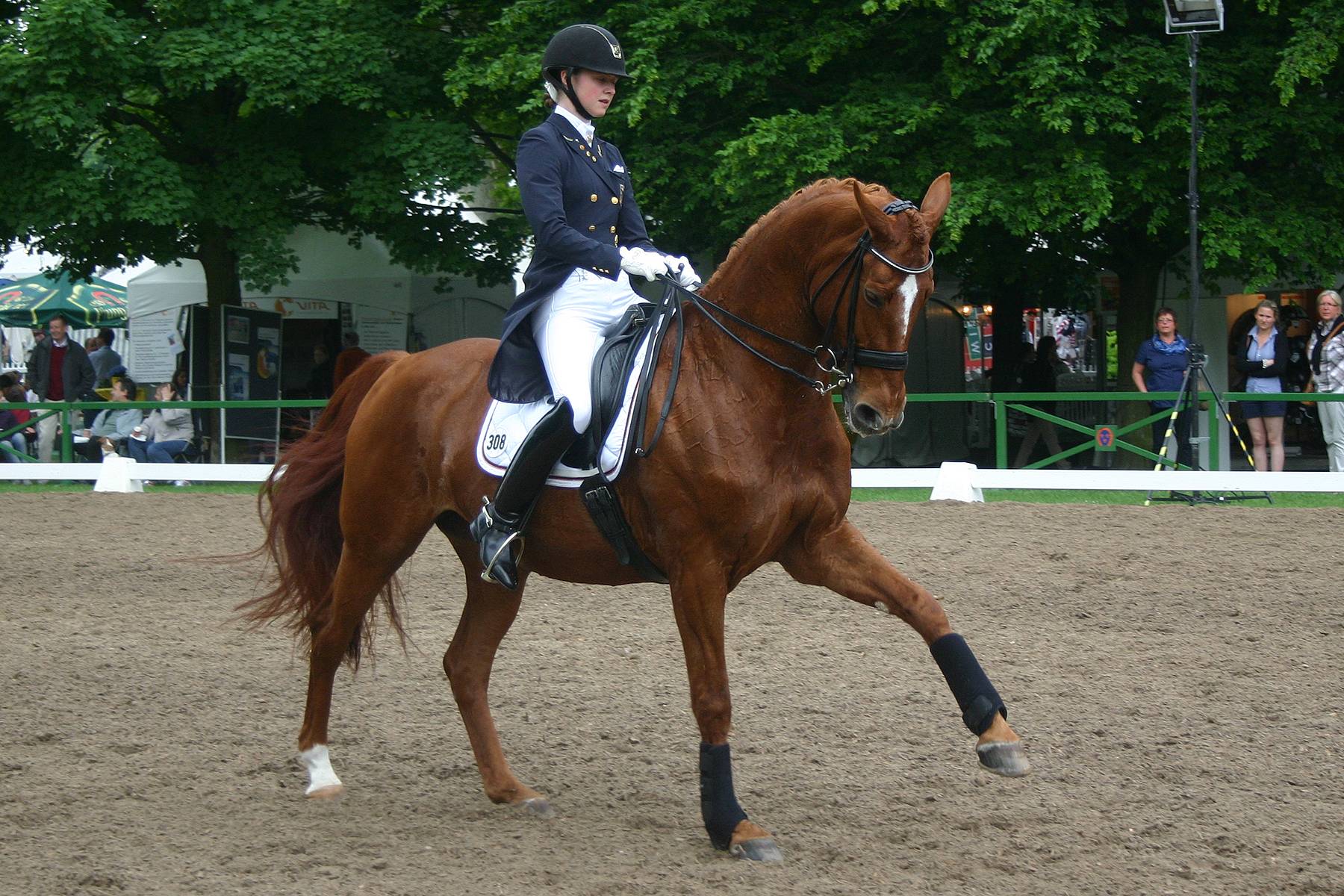 1800x1200 Free download Dressage Wallpaper [1800x1200] for your Desktop, Mobile & Tablet. Explore Dressage Wallpaper. Dressage Wallpaper