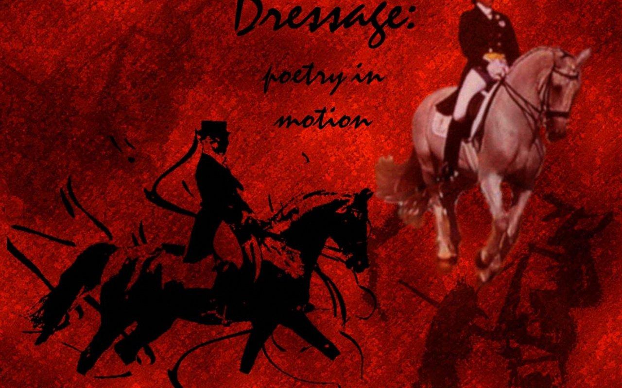 1280x800 Free download Equestrian dressage wallpaper 1280x800 Wallpaper [1280x800] for your Desktop, Mobile & Tablet. Explore Dressage Wallpaper. Dressage Wallpaper