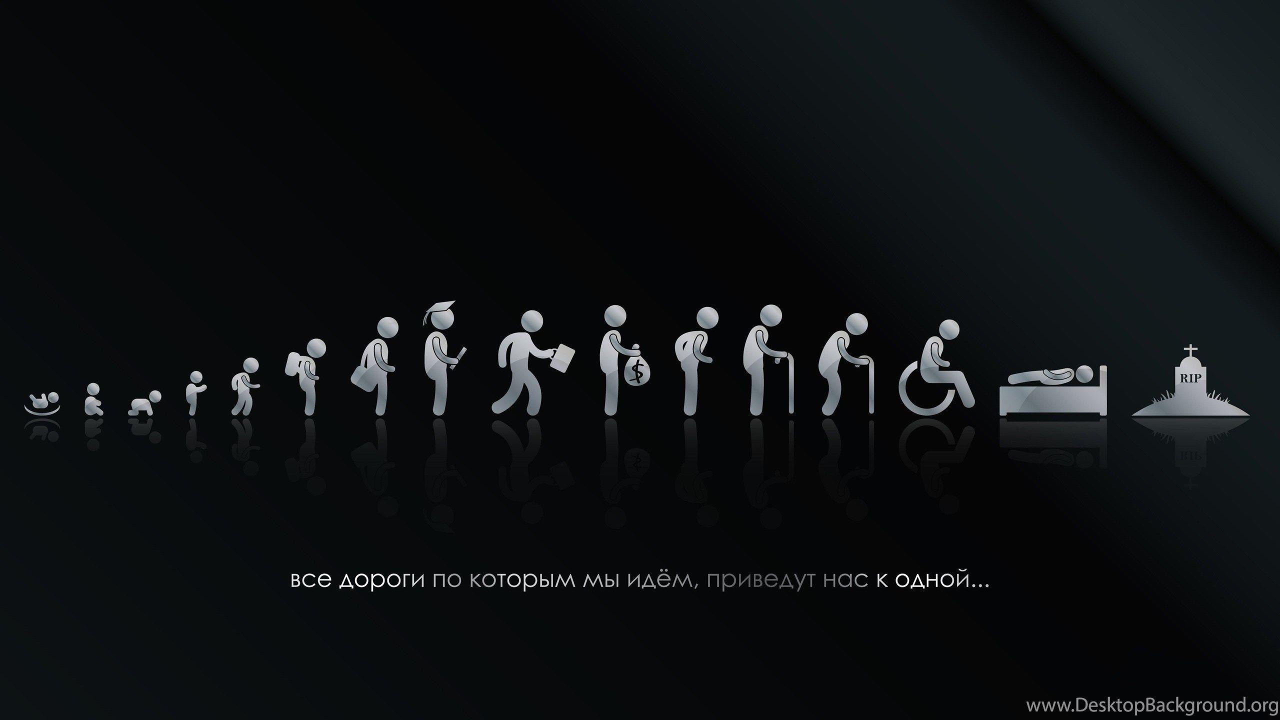2560x1440 Funny Desktop Wallpaper