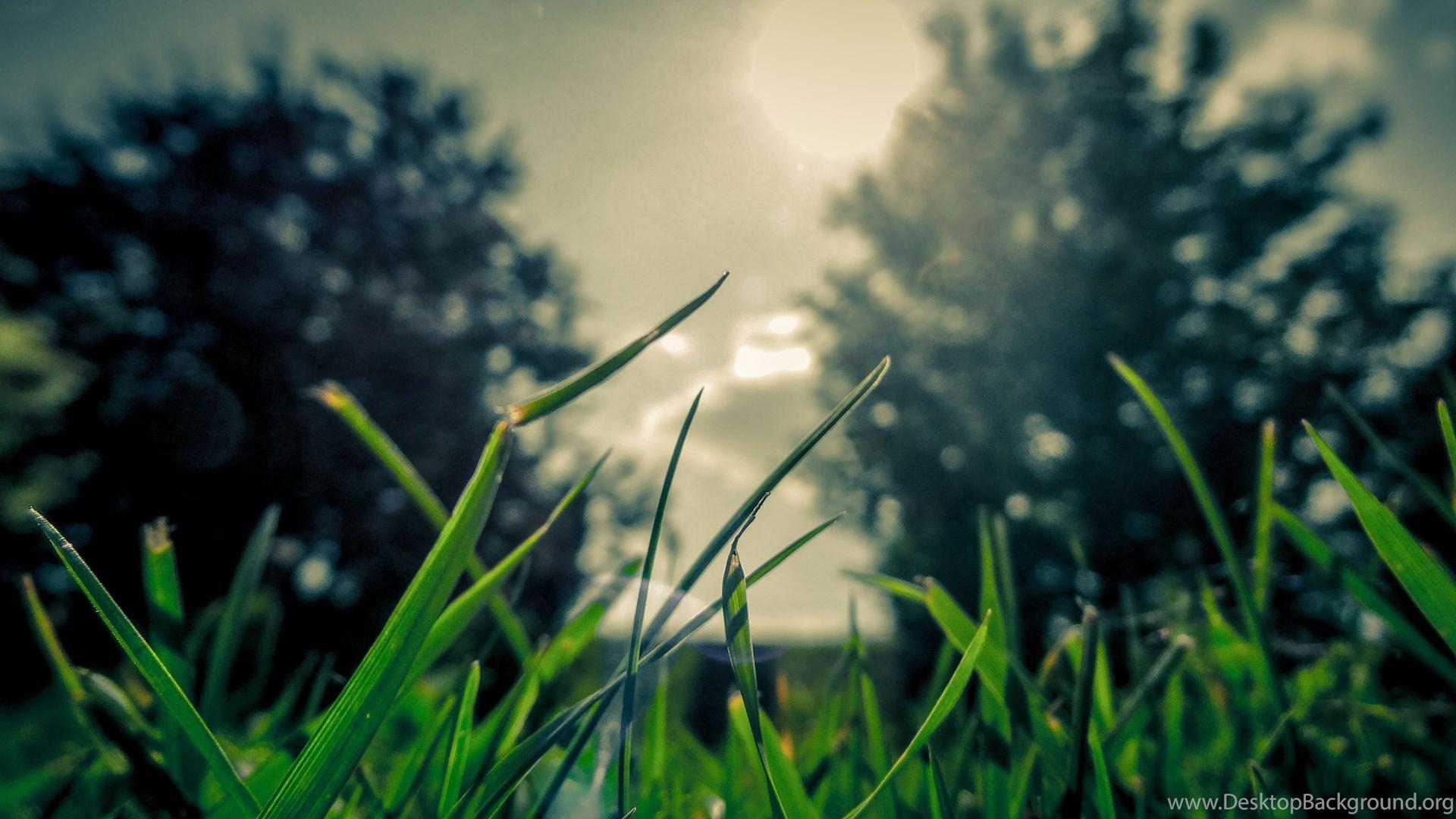 1920x1080 Nature Wallpaper Desktop Background
