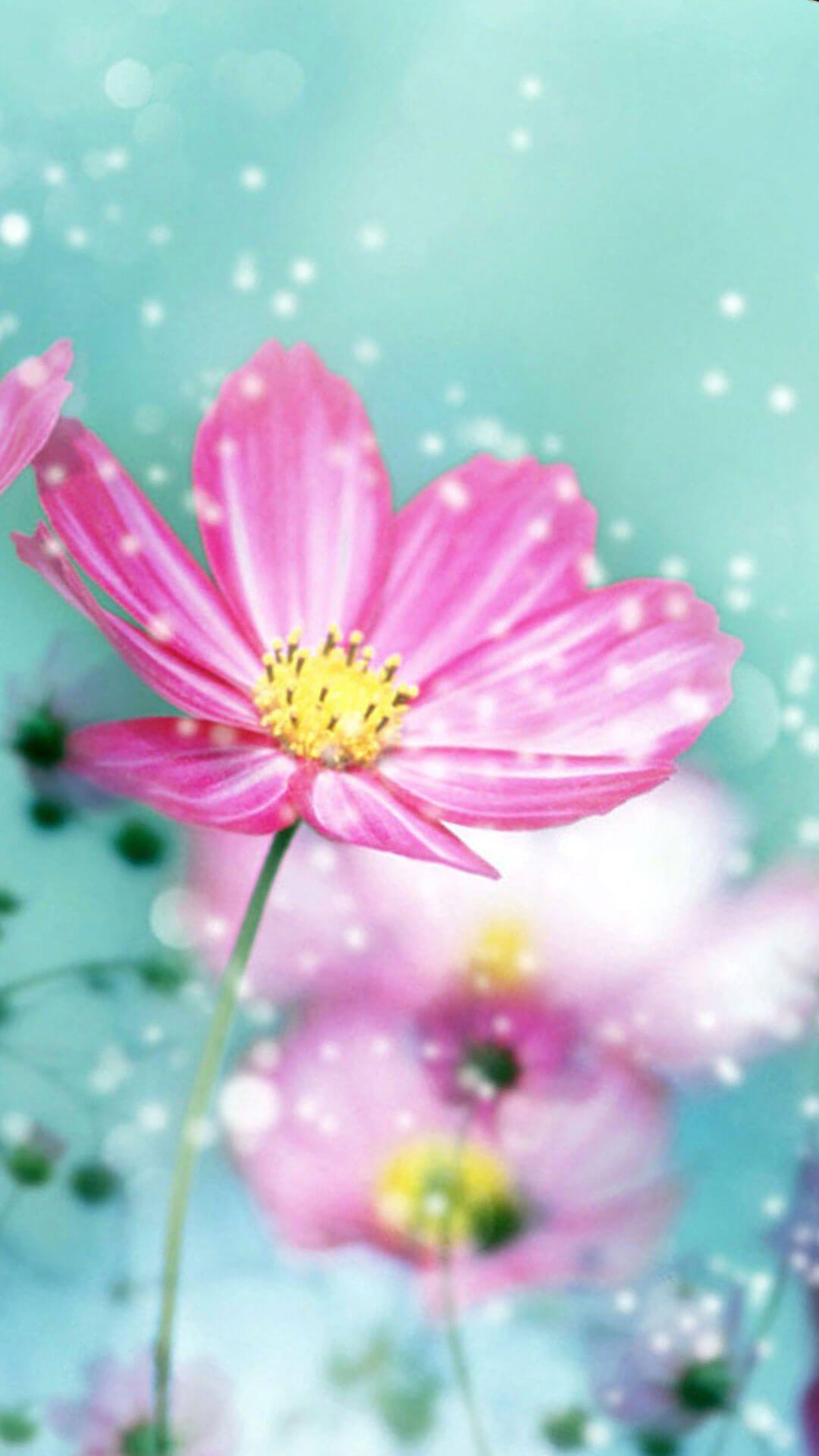 1080x1920 Wallpaper.wiki Spring Flower Hình nền iPhone 7 PIC WPB004573
