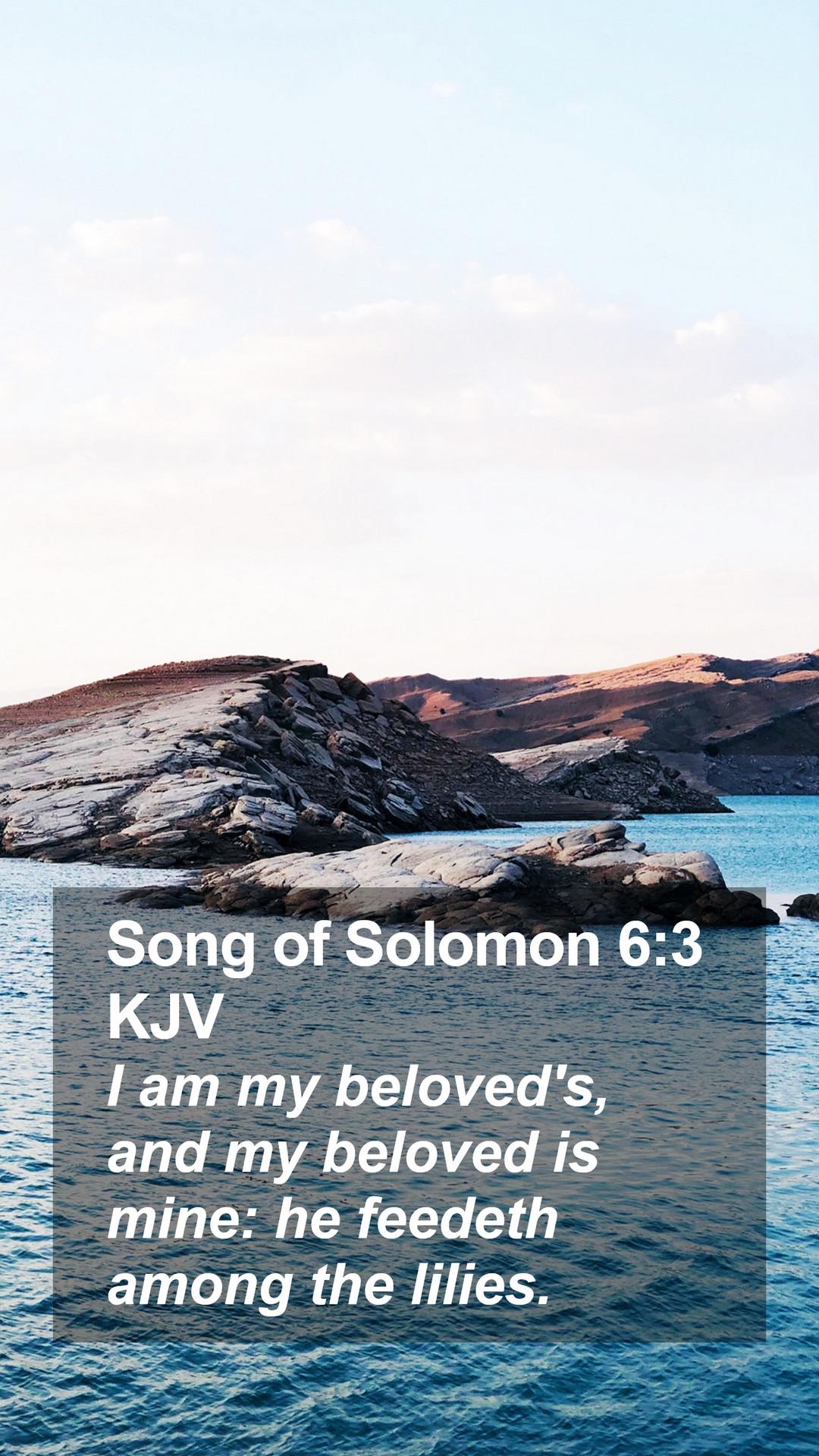 1080x1920 Song of Solomon 6:3 KJV Mobile Phone Wallpaper am my beloved's, and my beloved is mine: he