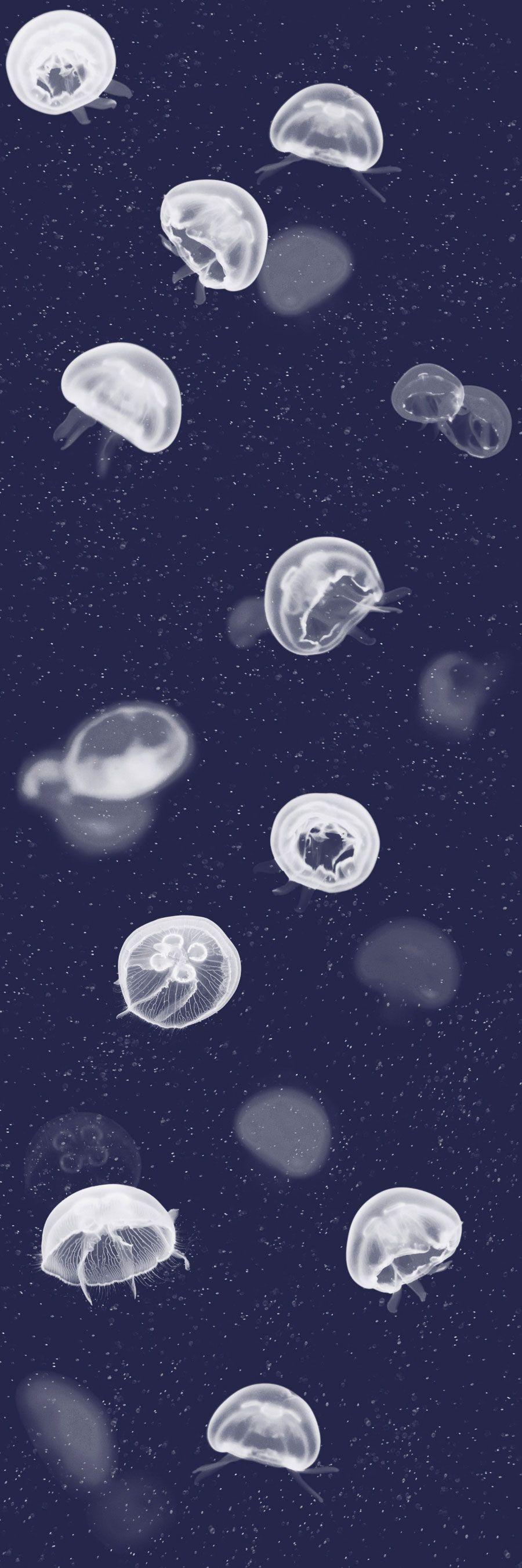900x2699 Jellyfish by Coordonne : Wallpaper Direct. Dark phone wallpaper, Black wallpaper, Black aesthetic wallpaper