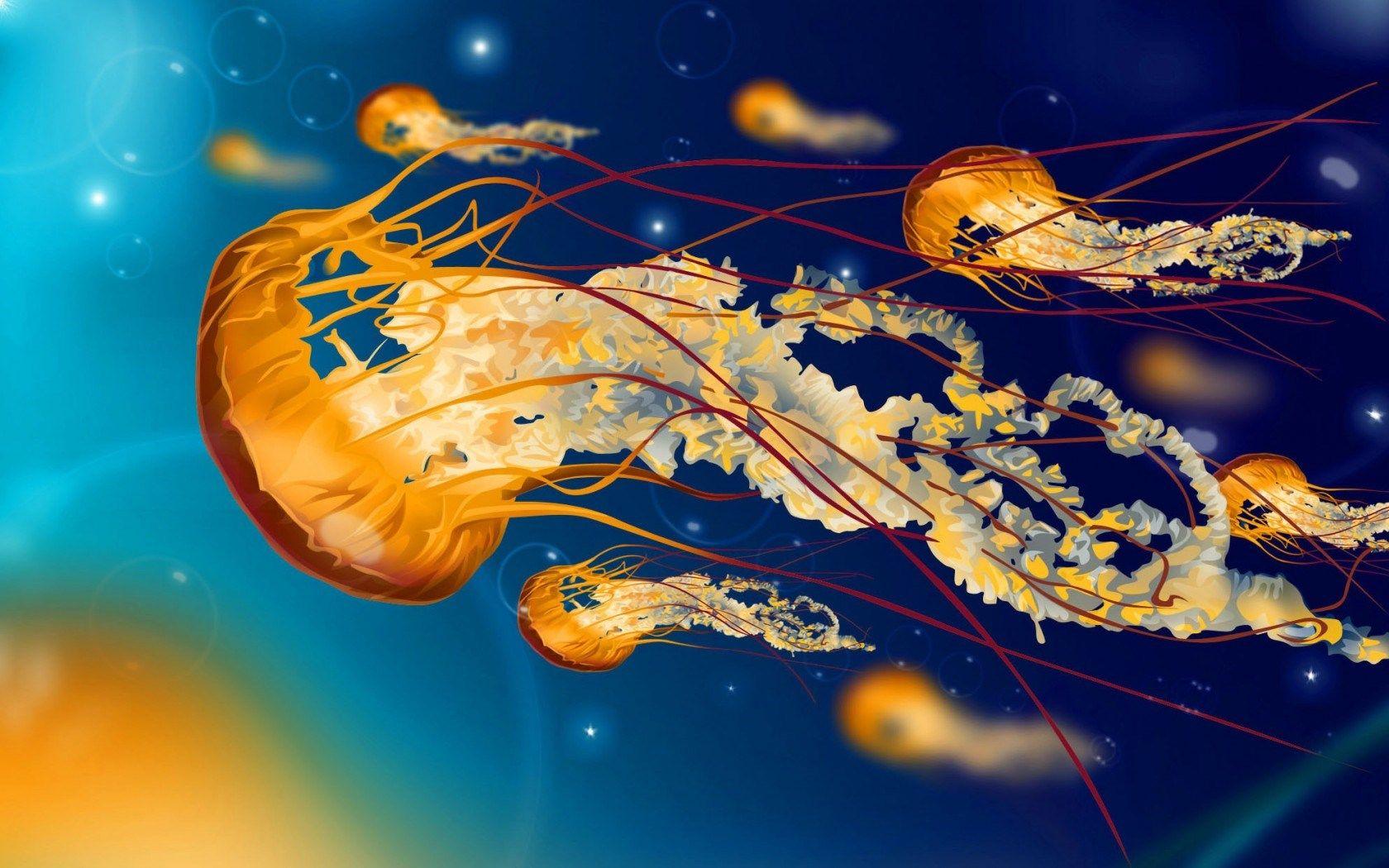 1680x1050 Colorful Jellyfish Wallpaper