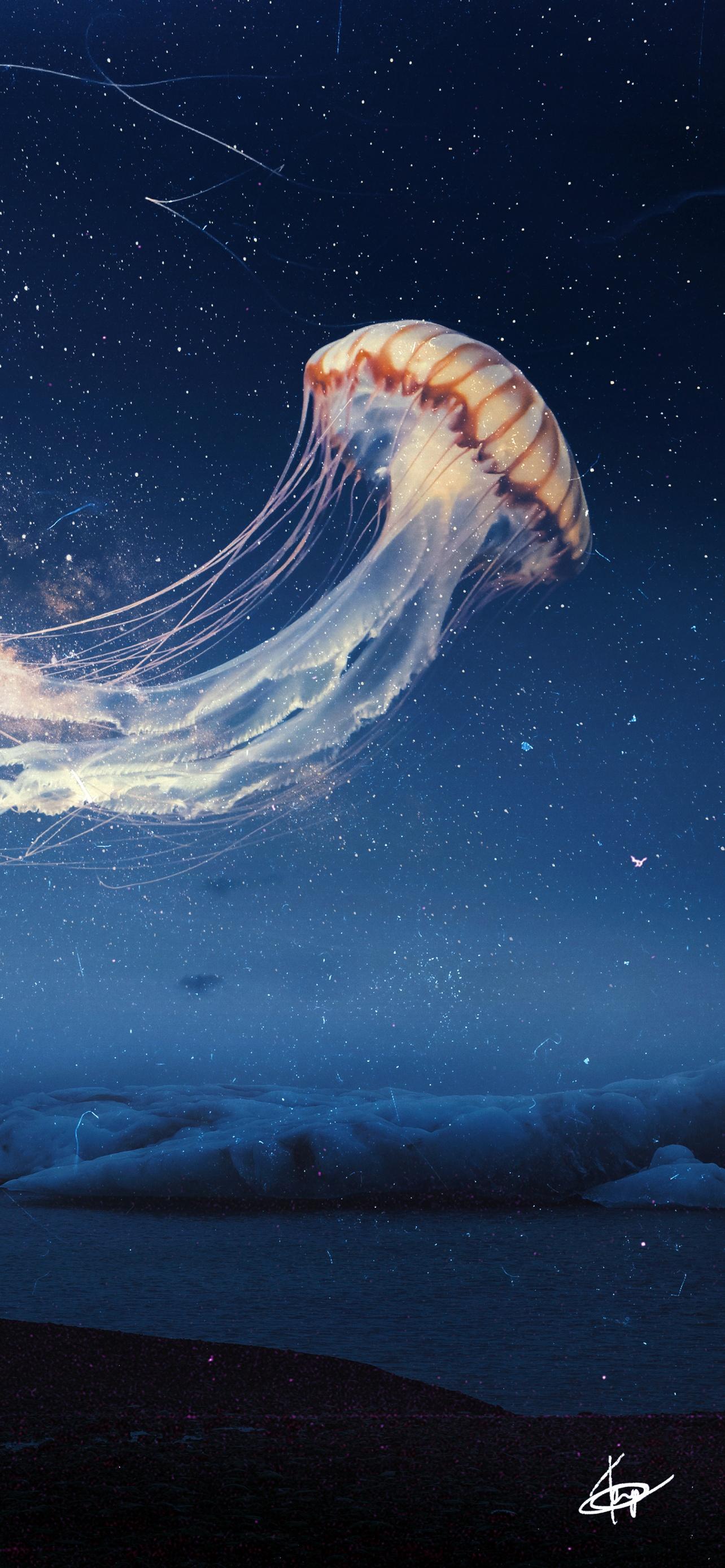 1284x2778 Jellyfish Wallpaper 4K, Dream, Surreal, Night sky, Alone, Fantasy
