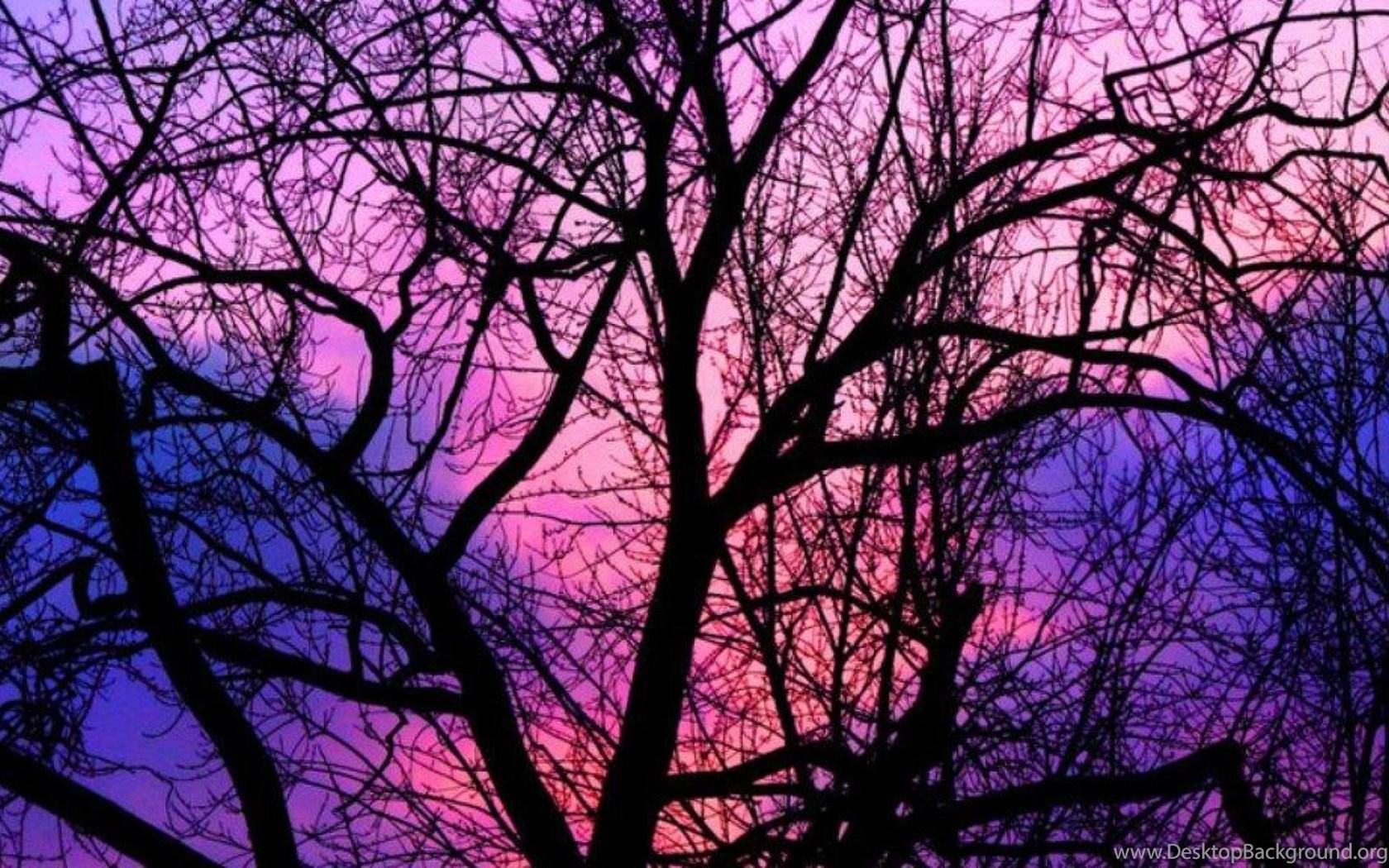 1680x1050 Cotton Candy Clouds Wallpaper Desktop Background