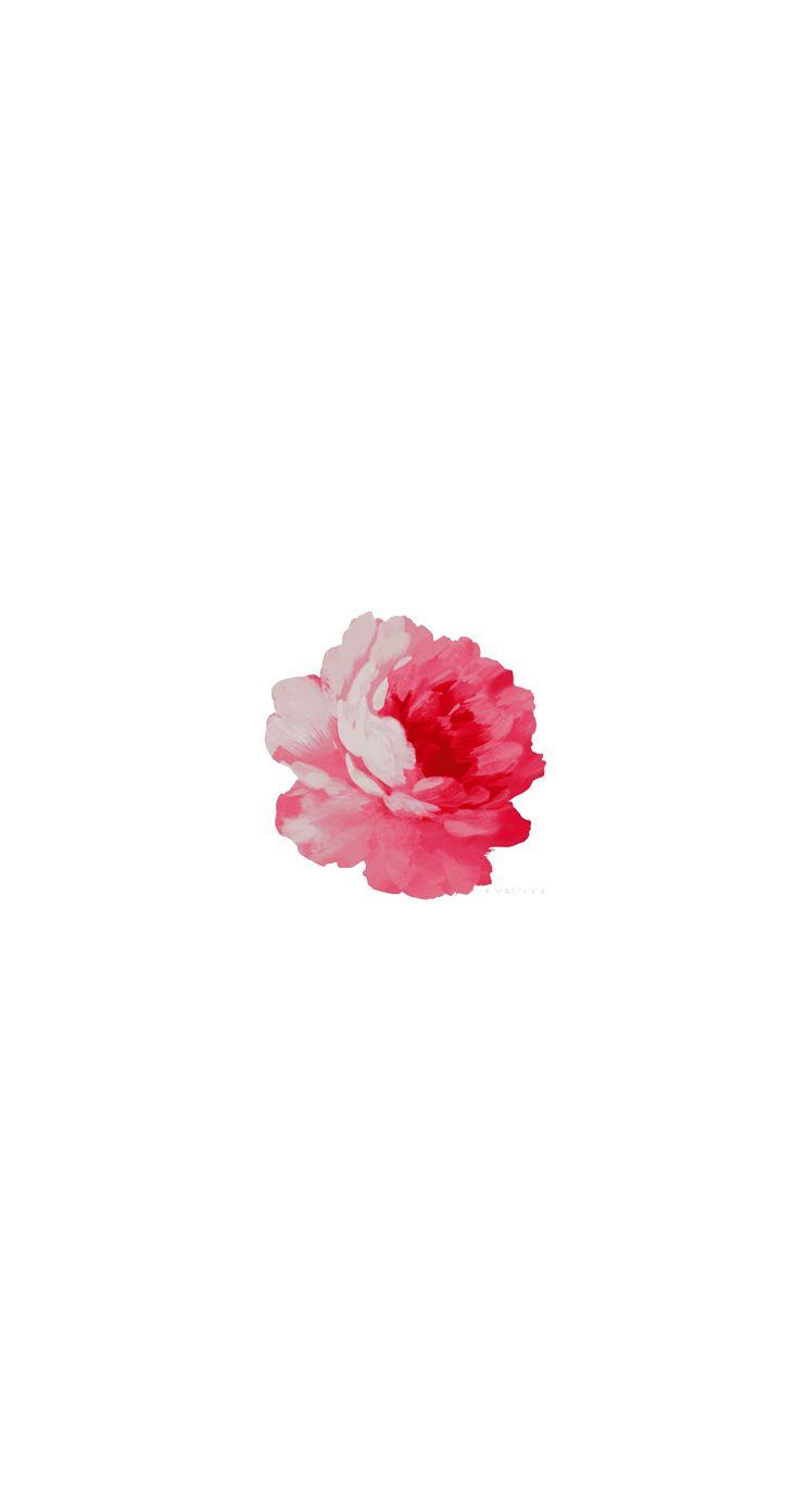 744x1392 Red Rose Tải xuống thêm hoa #Spring Hình Nền iPhone tại