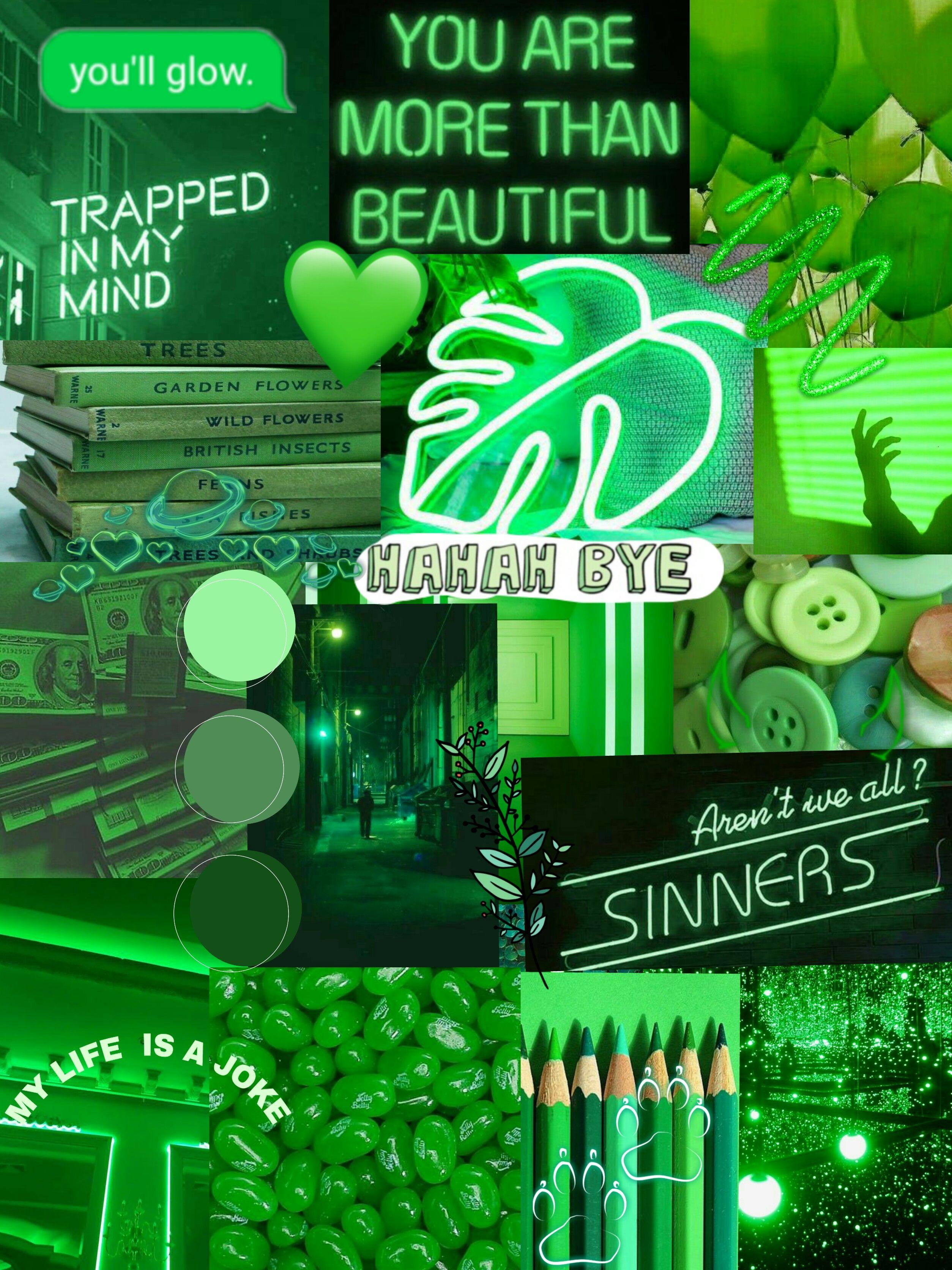 2508x3344 Green Aesthetic Wallpaper and HD Background free download on PicGaGa