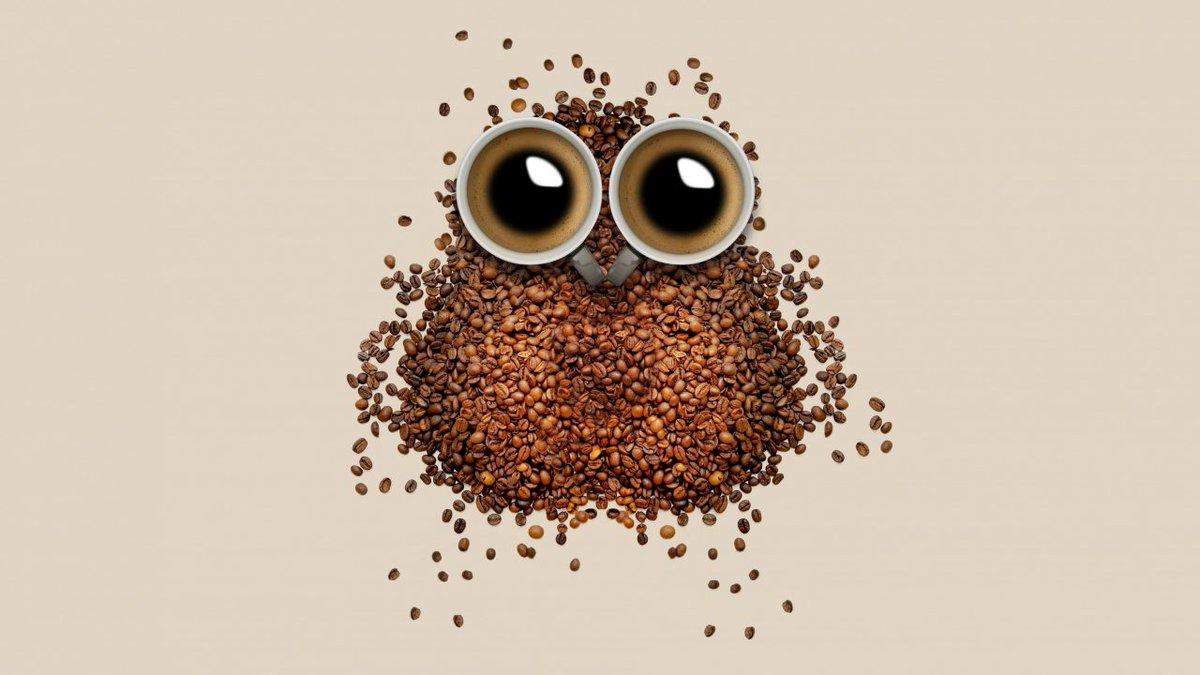 1200x675 Best Wallpaper Wallpaper Download Full 4K Wallpaper #Coffee #Beans #Shape #Owl #Mug #Creative KWallpaper #DesktopWallpaper #HDWallpaper #MobileWallpaper #Wallpaper