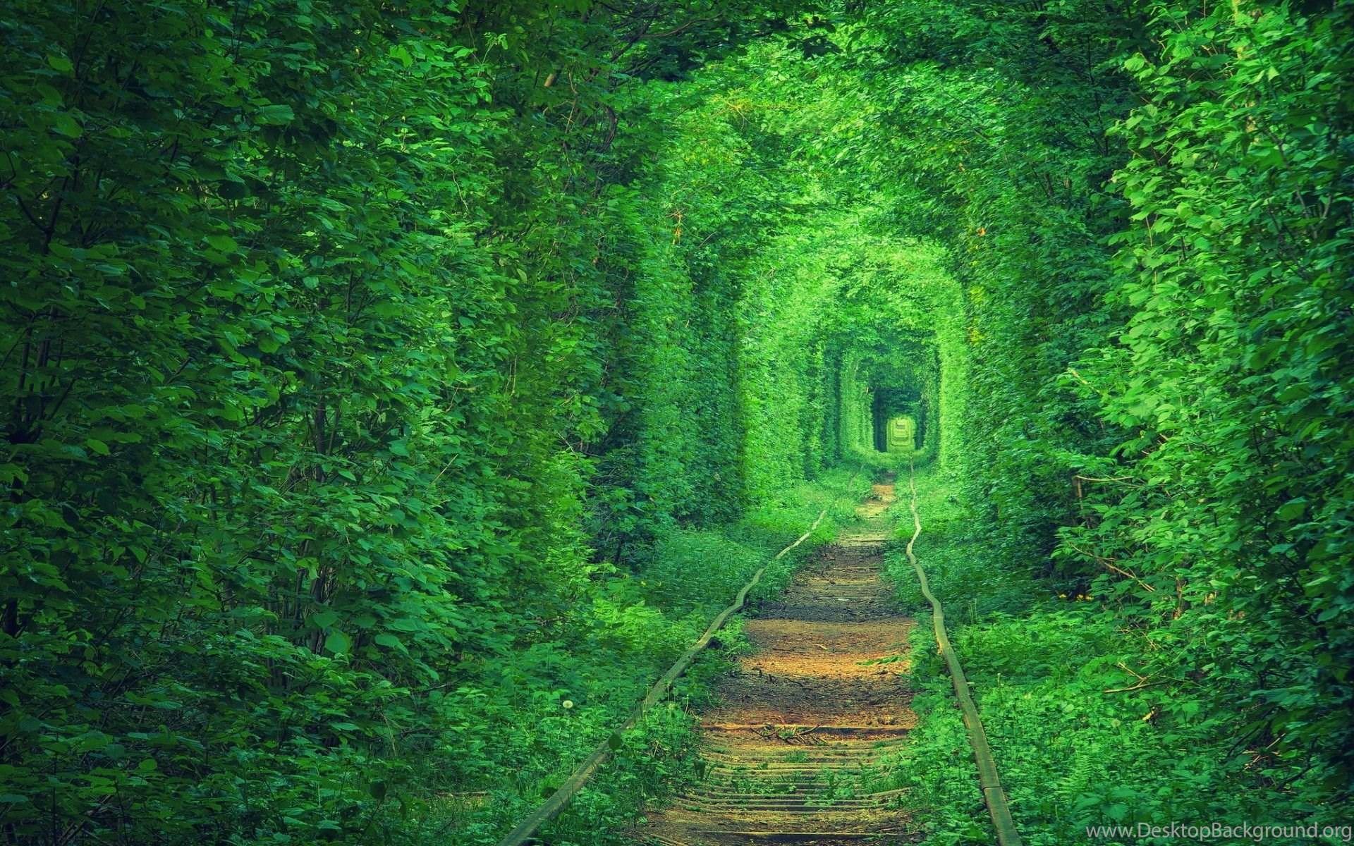 1920x1200 Greenish HD Wallpaper & Picture Desktop Background