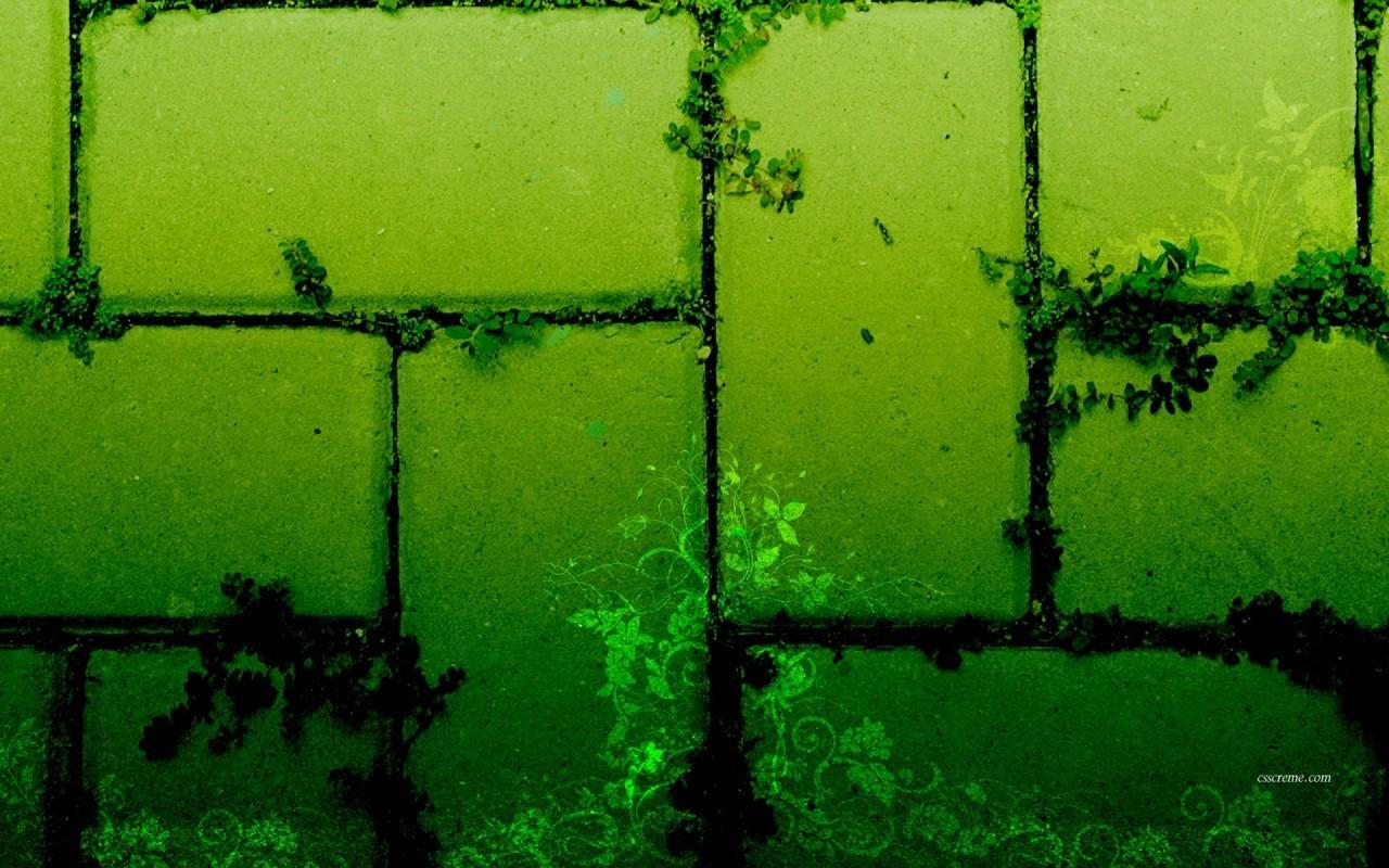 1280x800 Greenish wallpaper