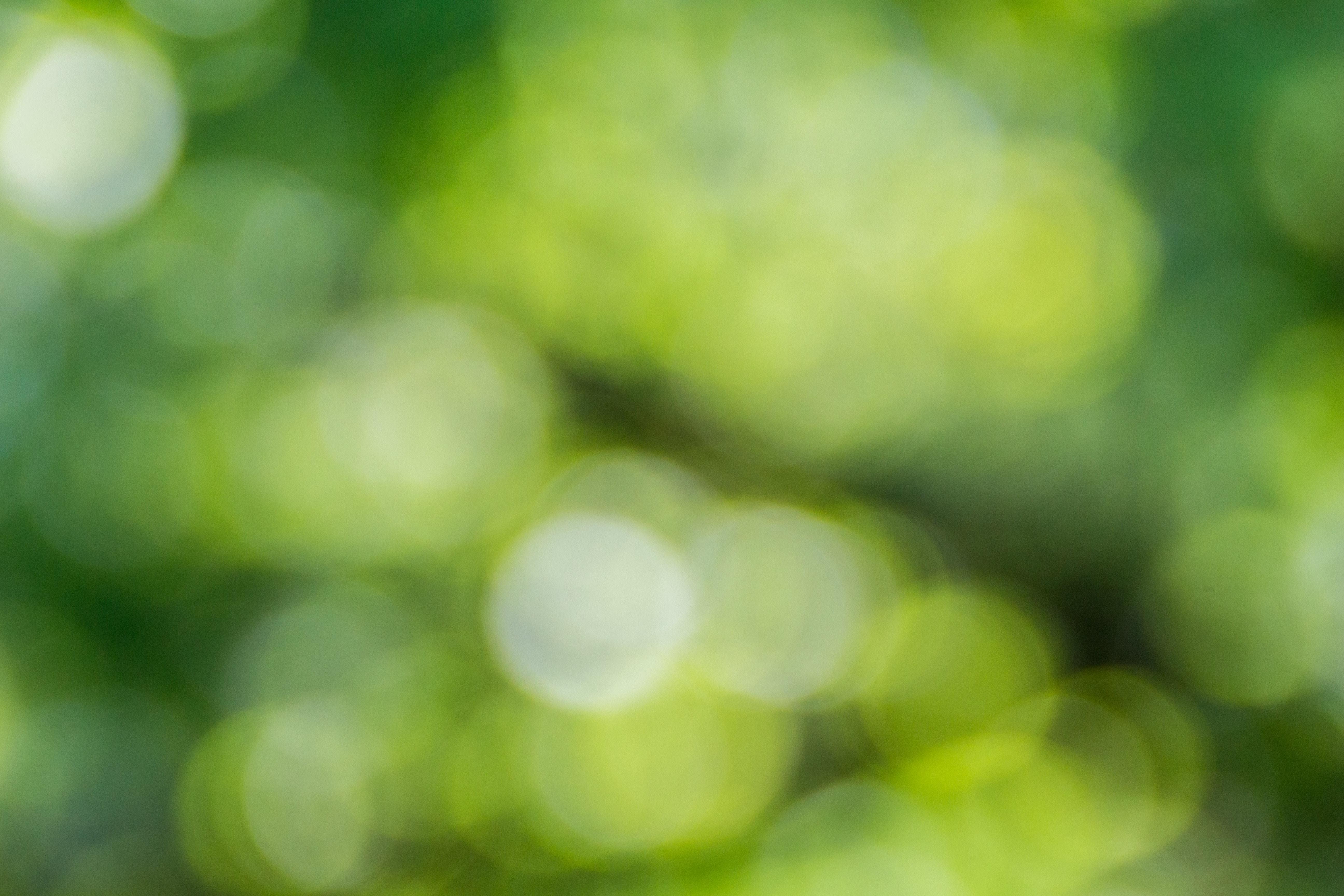 5184x3456 5184x3456 #yellowish, #yellow, #colorful, #light, #background, #bokech, #texture, #Free , #bokeh, #background picture, # greenish, #green, #wallpaper, #blur. Mocah HD Wallpaper