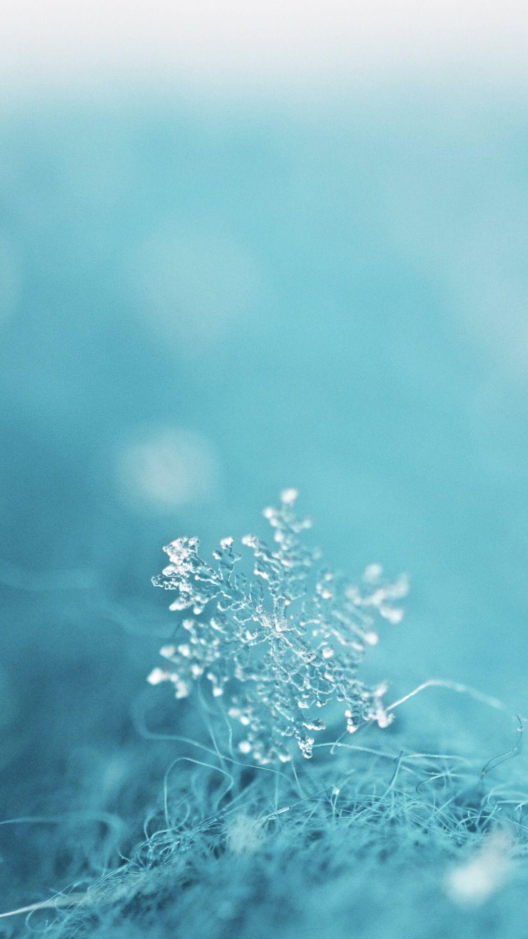 1080x1920 Aesthetic Teal Wallpaper 2020