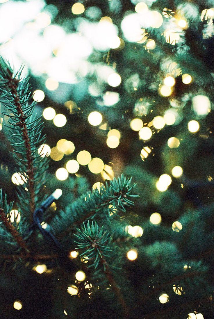 Beautiful Aesthetic Christmas Tree Iphone Wallpaper pictures