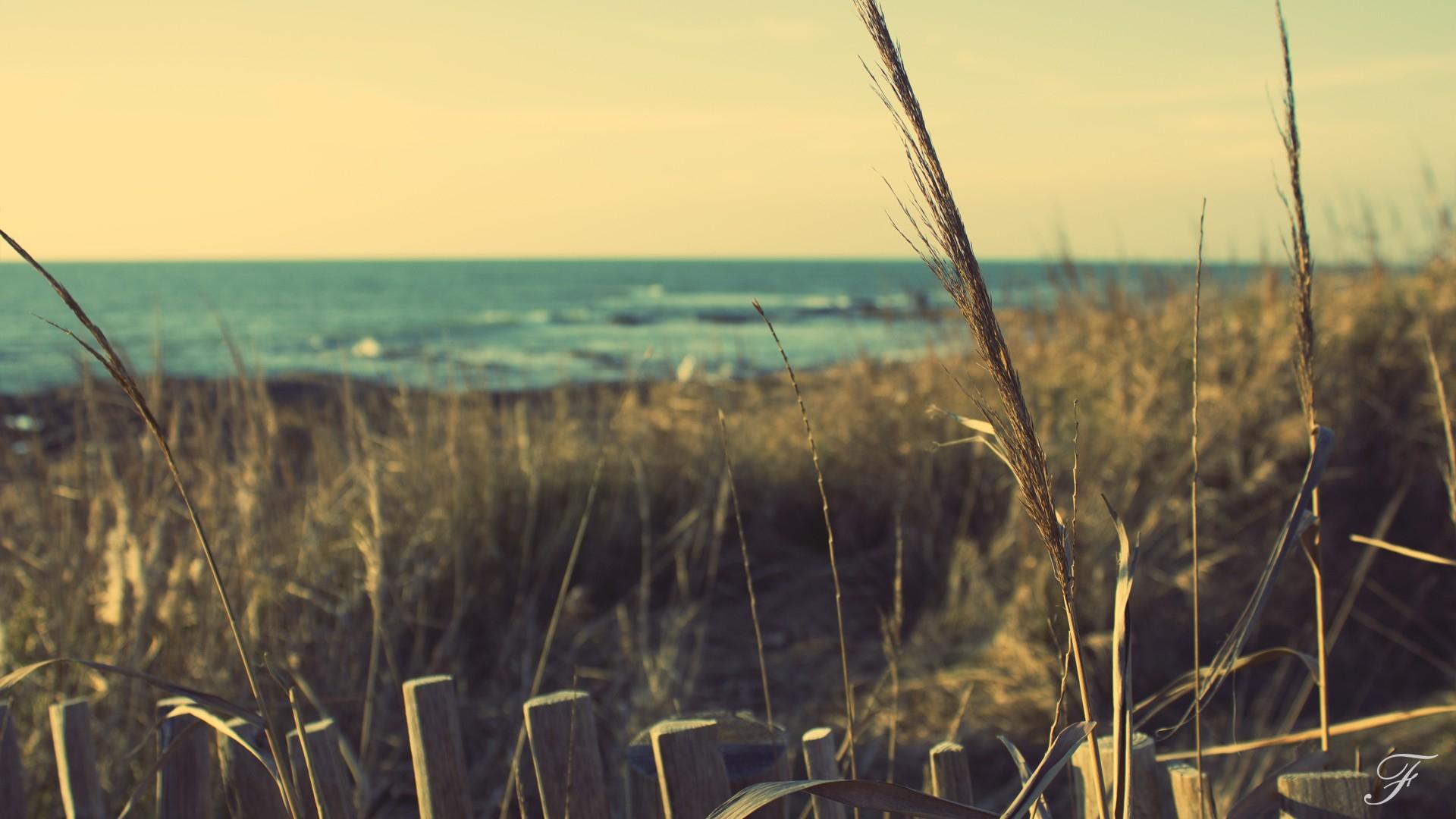 1920x1080 nature coast beach france rocks high definition west 1920x1080 wallpaper