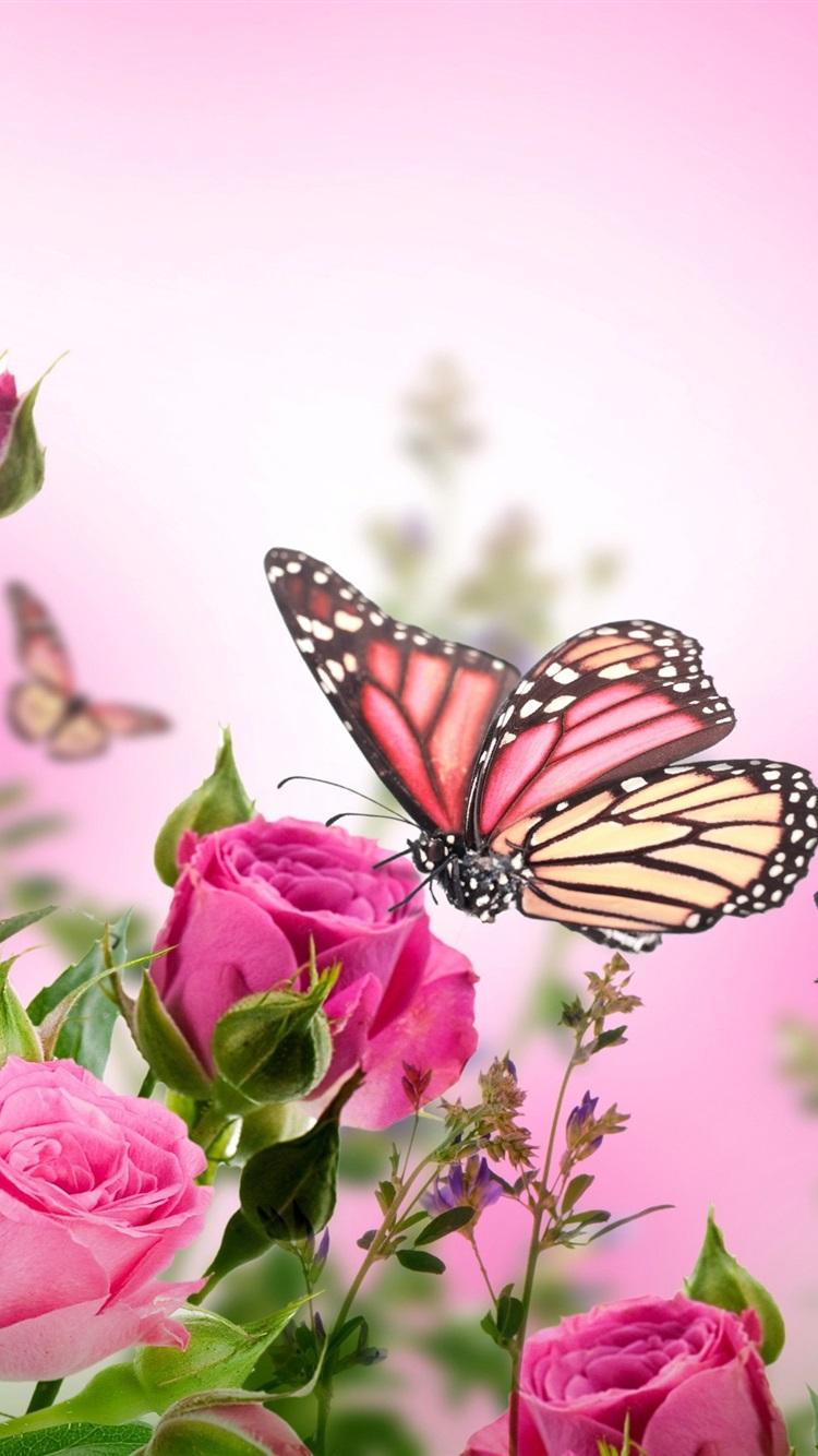 750x1334 Pink Roses, Flowers, Butterflies 1080x1920 IPhone 8 7 6 6S Plus Wallpaper, Background, Picture, Image