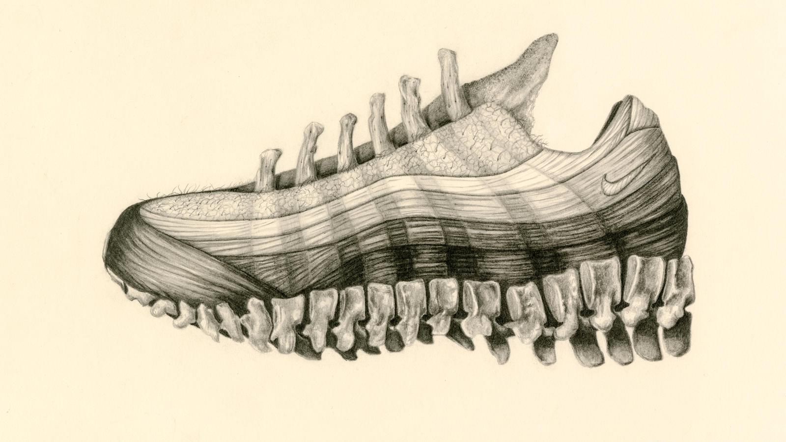 1600x900 An anatomical reinterpretation of the Air Max 95